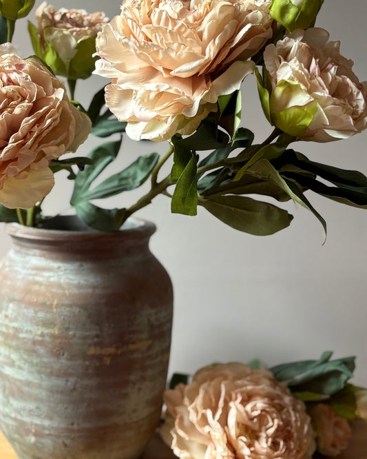 Full Bloom Ella Peony - Nude