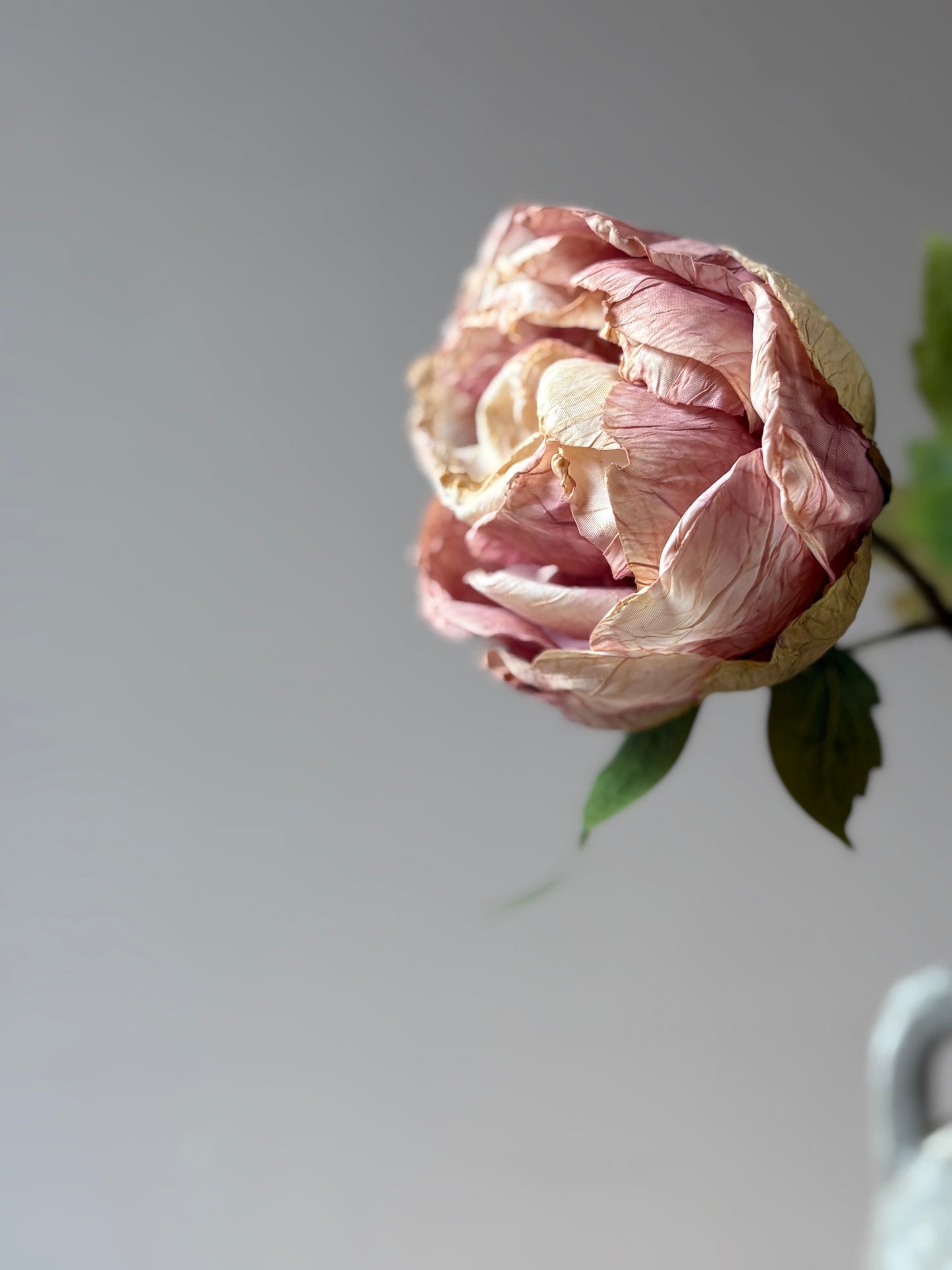 Single Closed Cup Peony - Dusky Pink