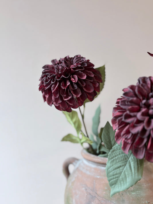 Pom Pom Dahlia Burgundy