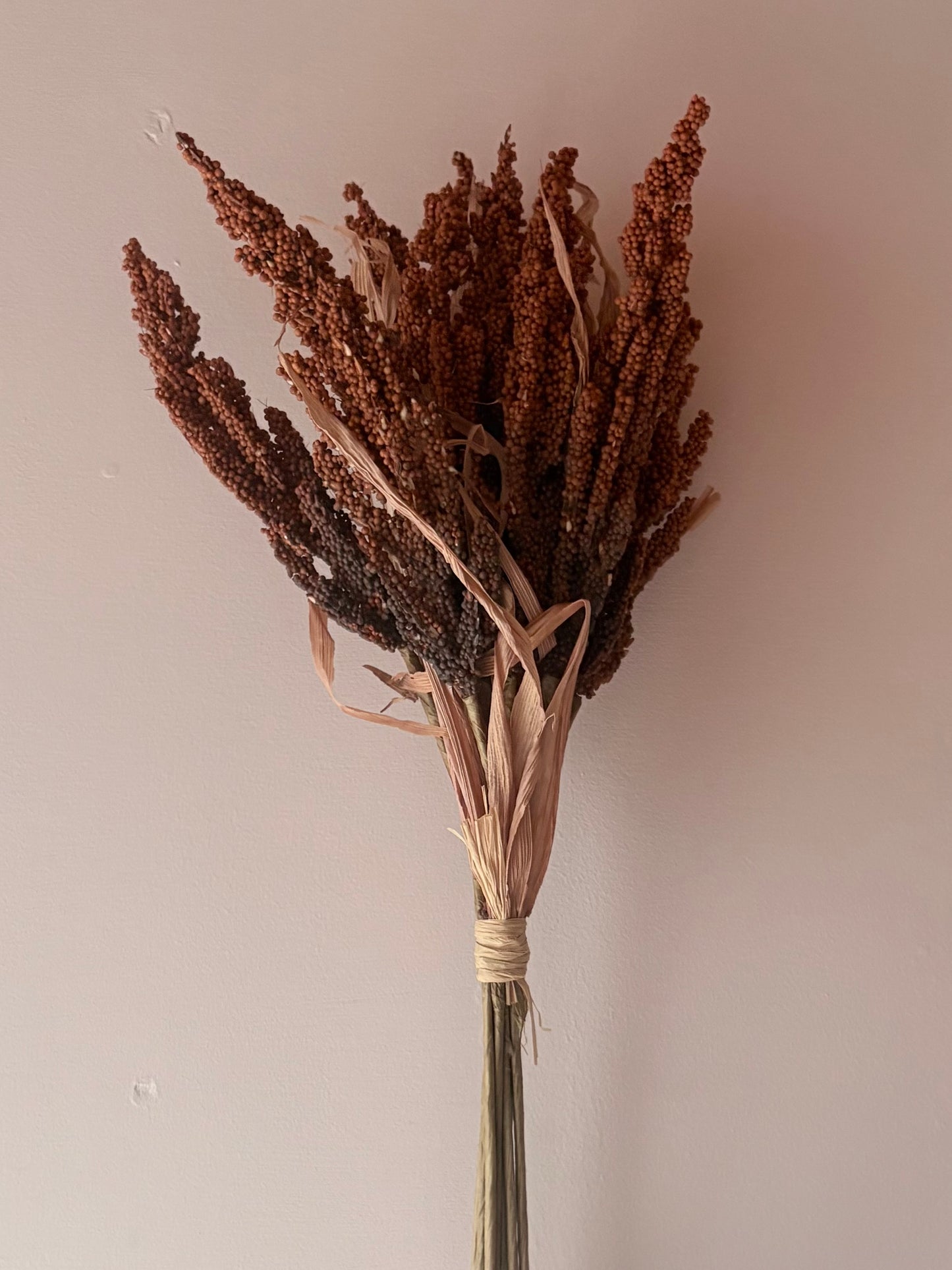 Wheat Bunch - Rust Orange