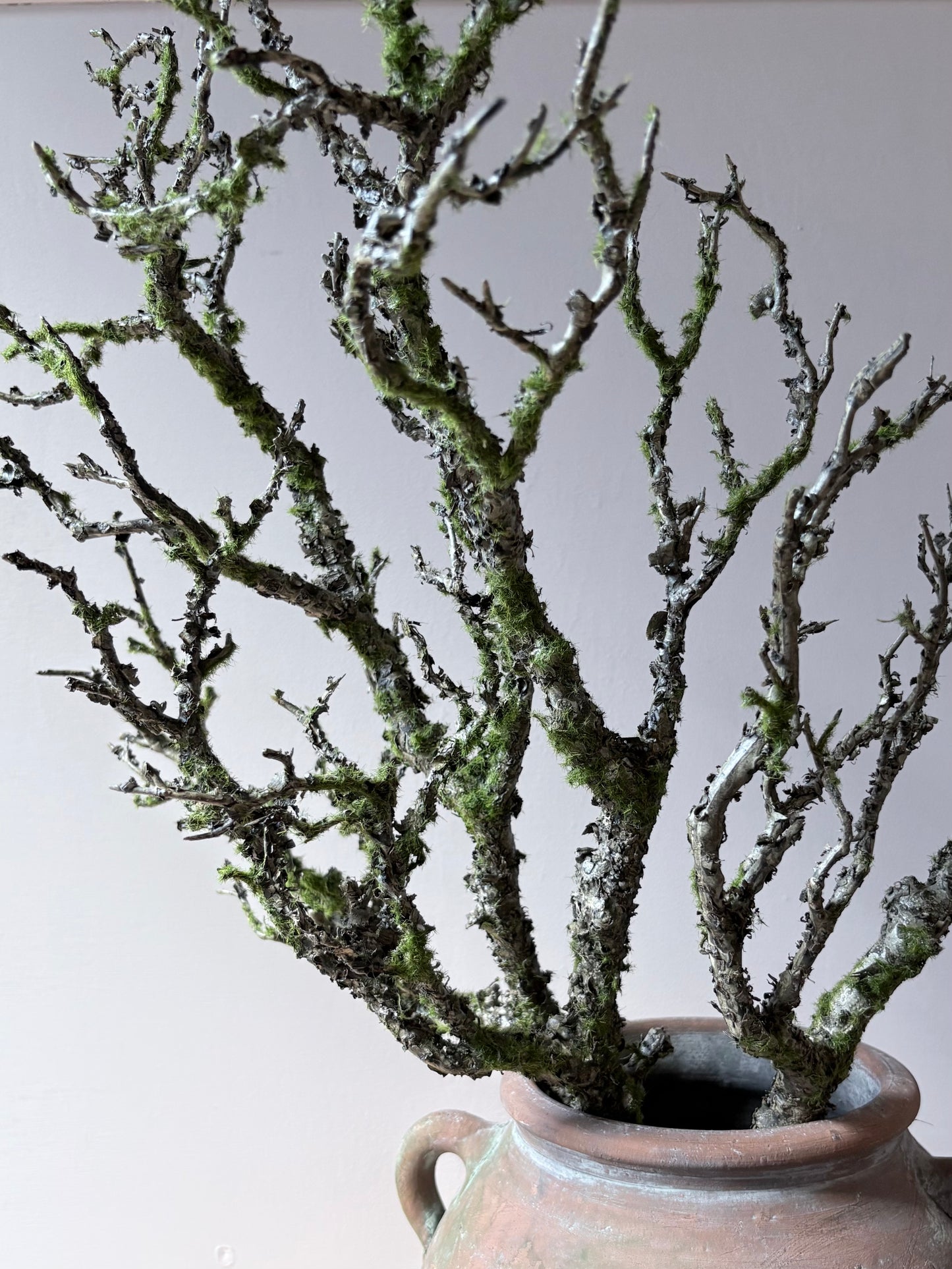 Moss Woodland Branch