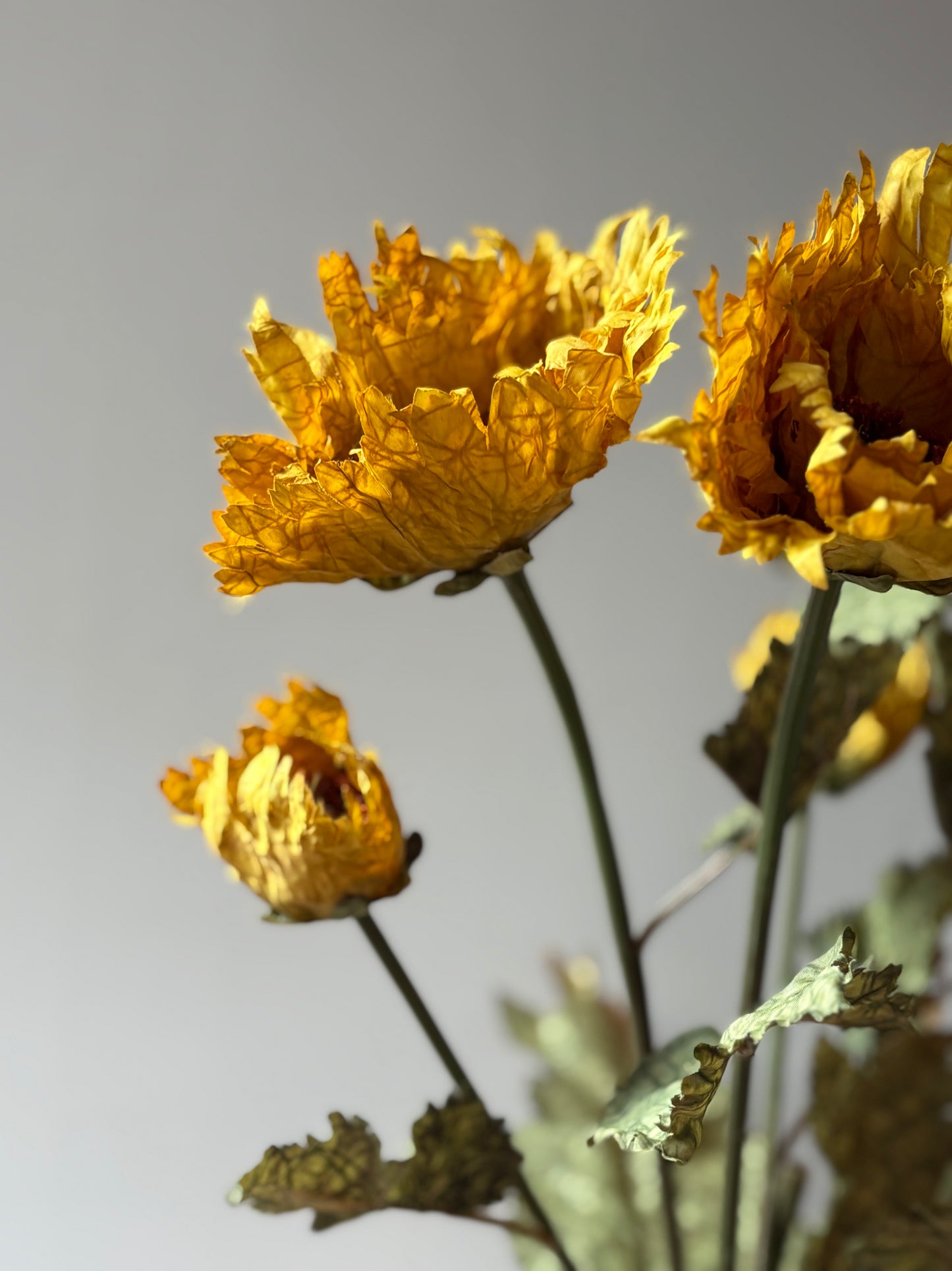 Vintage Poppy in Mustard