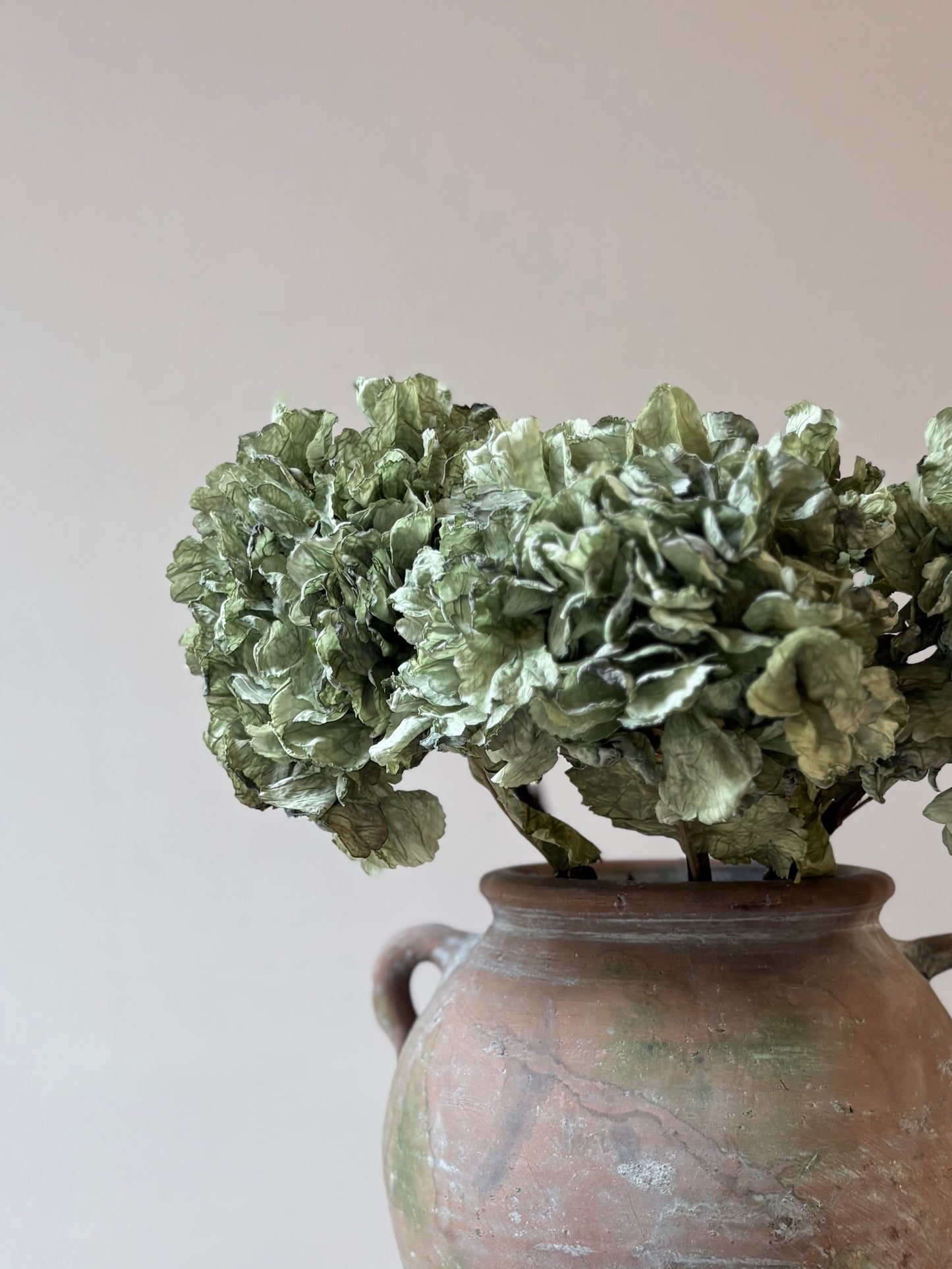 Vintage Hydrangea in Sage Green