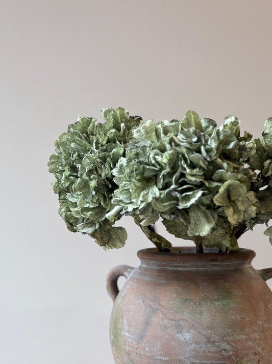Vintage Hydrangea in Sage Green