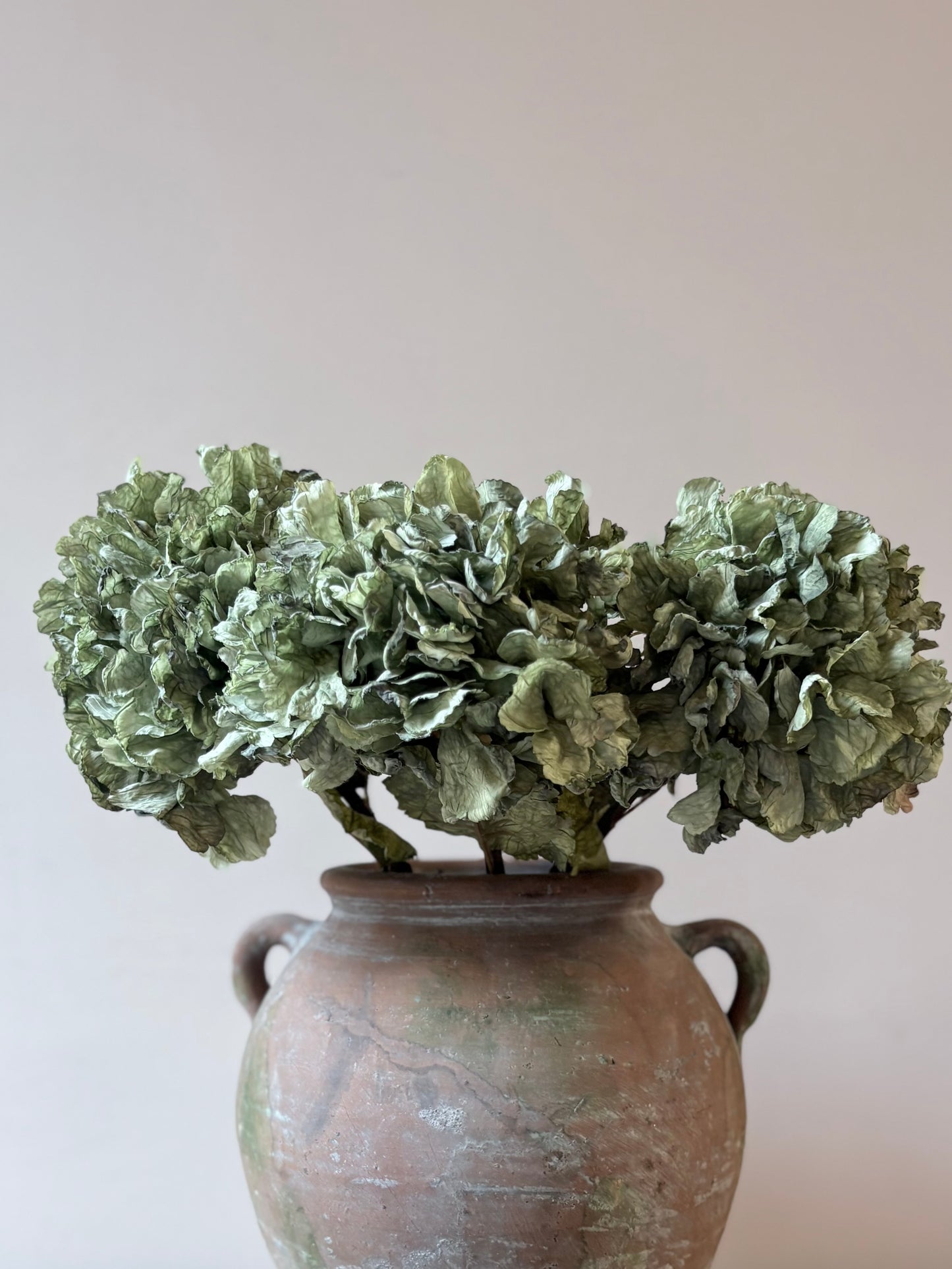Vintage Hydrangea in Sage Green