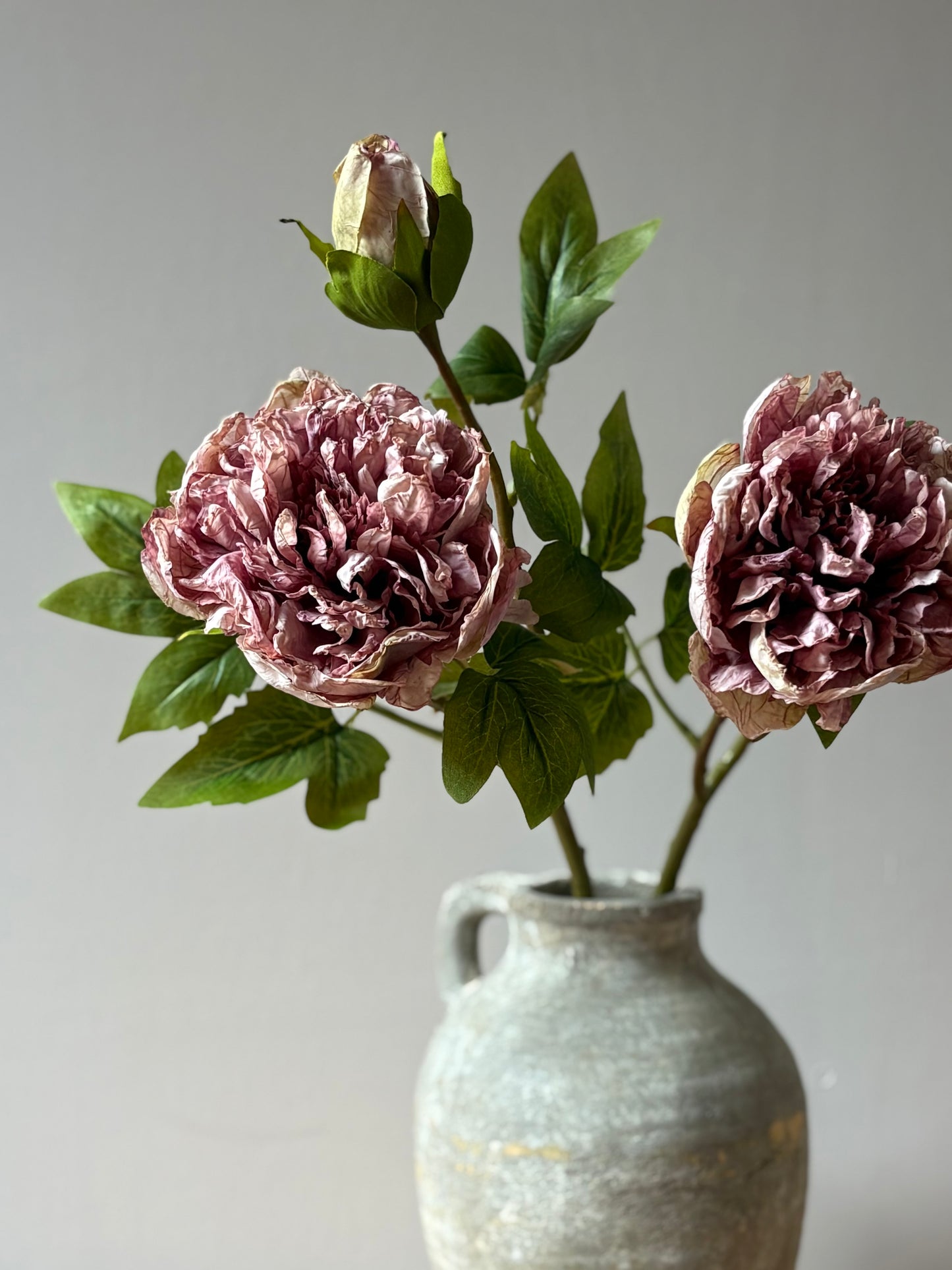 Full Bloom Double Peony in Lilac
