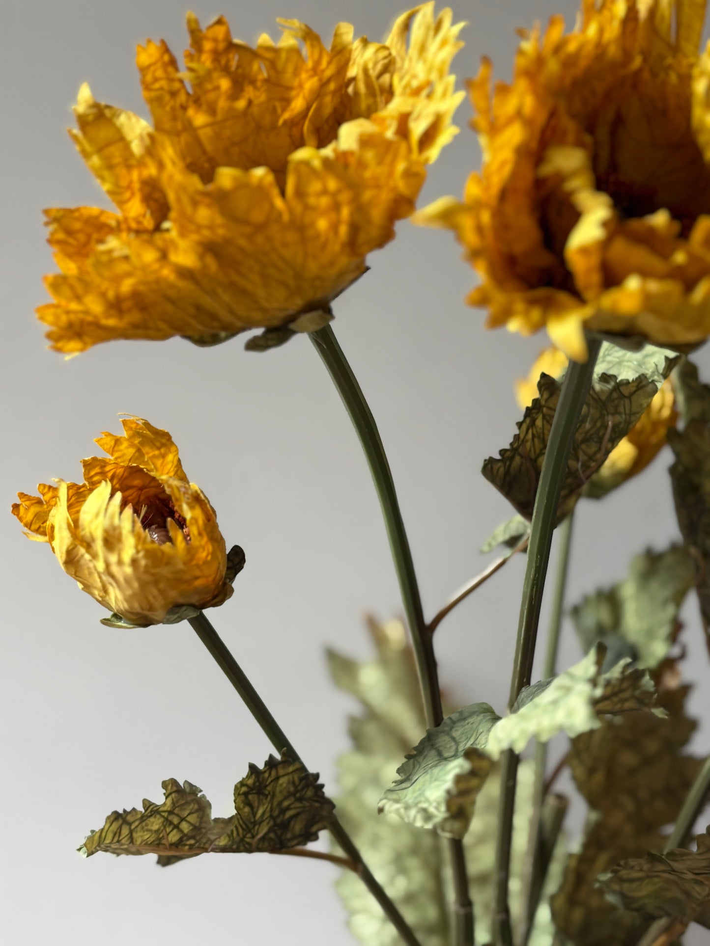 Vintage Poppy in Mustard