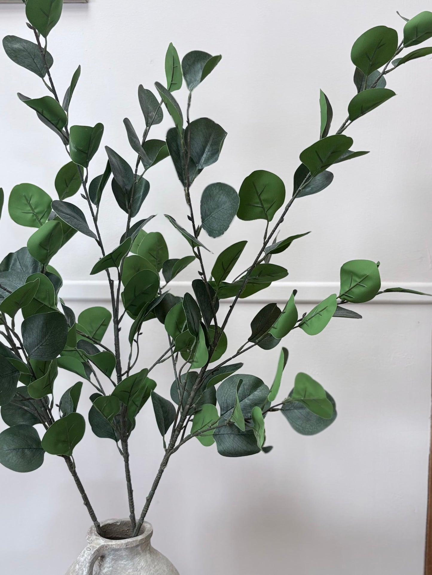 Eucalyptus Dollar Stem (large)
