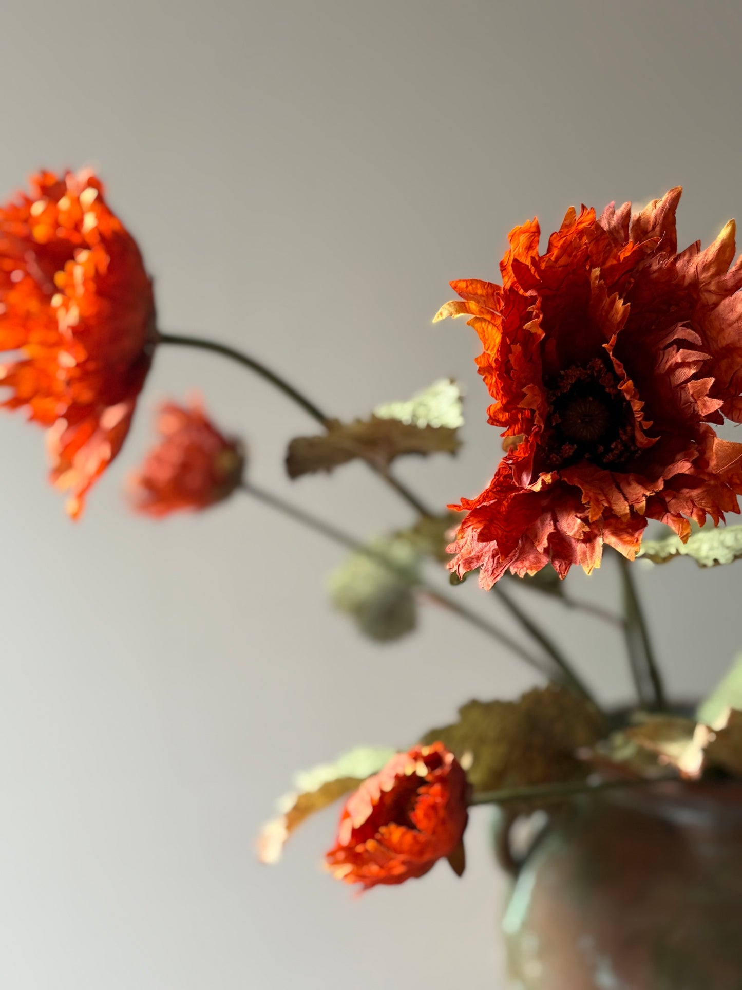 Vintage Poppy in Rust Orange