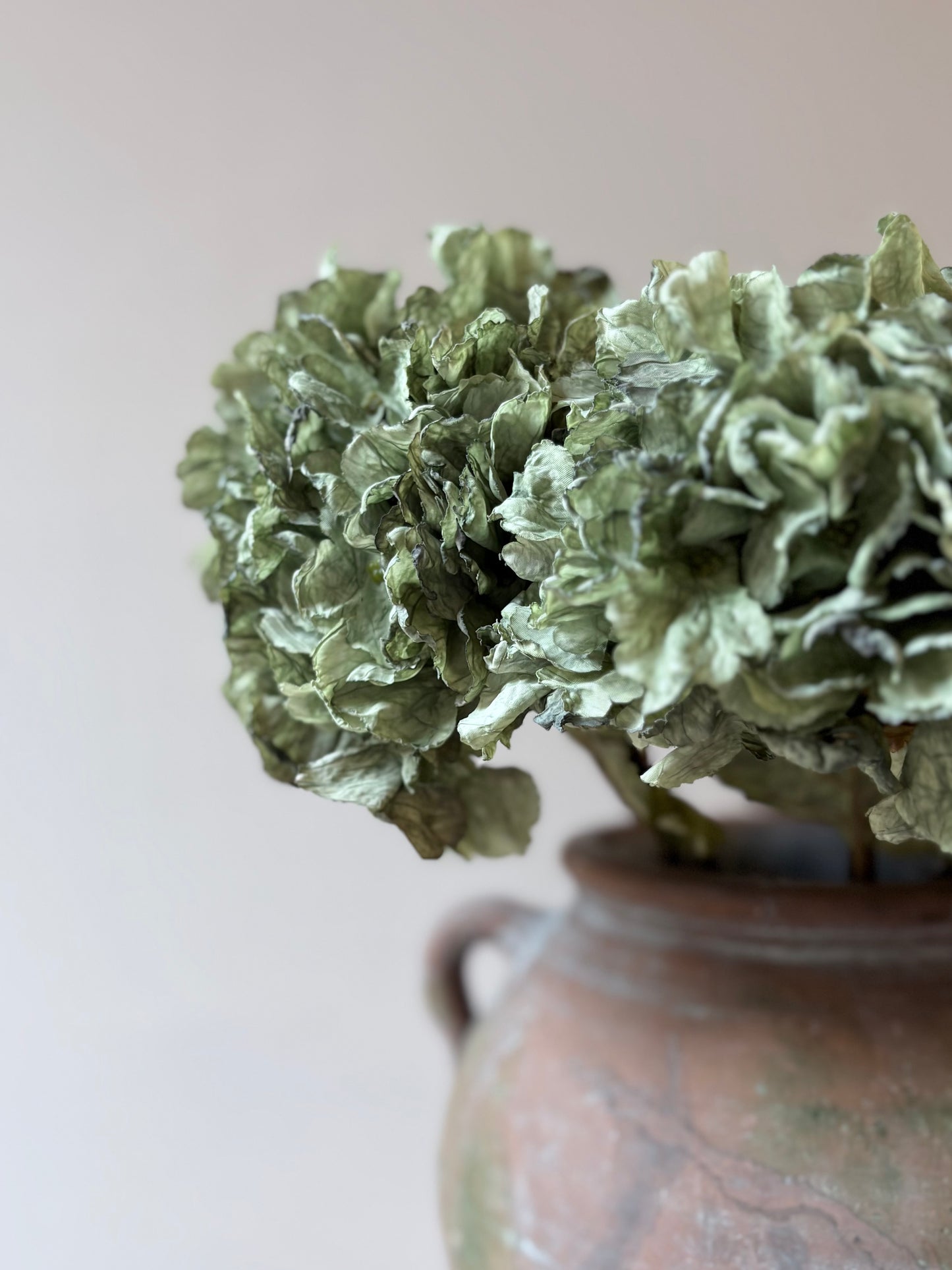 Vintage Hydrangea in Sage Green