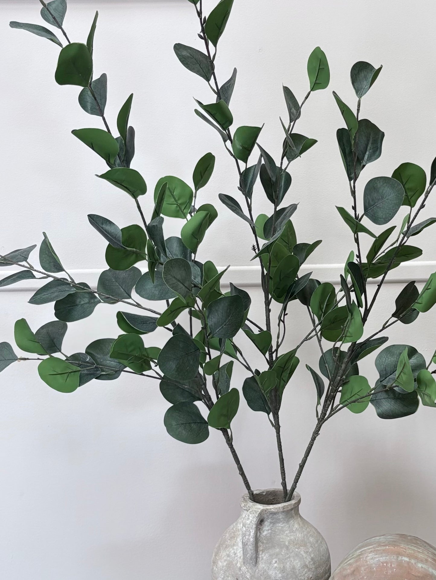 Eucalyptus Dollar Stem (large)