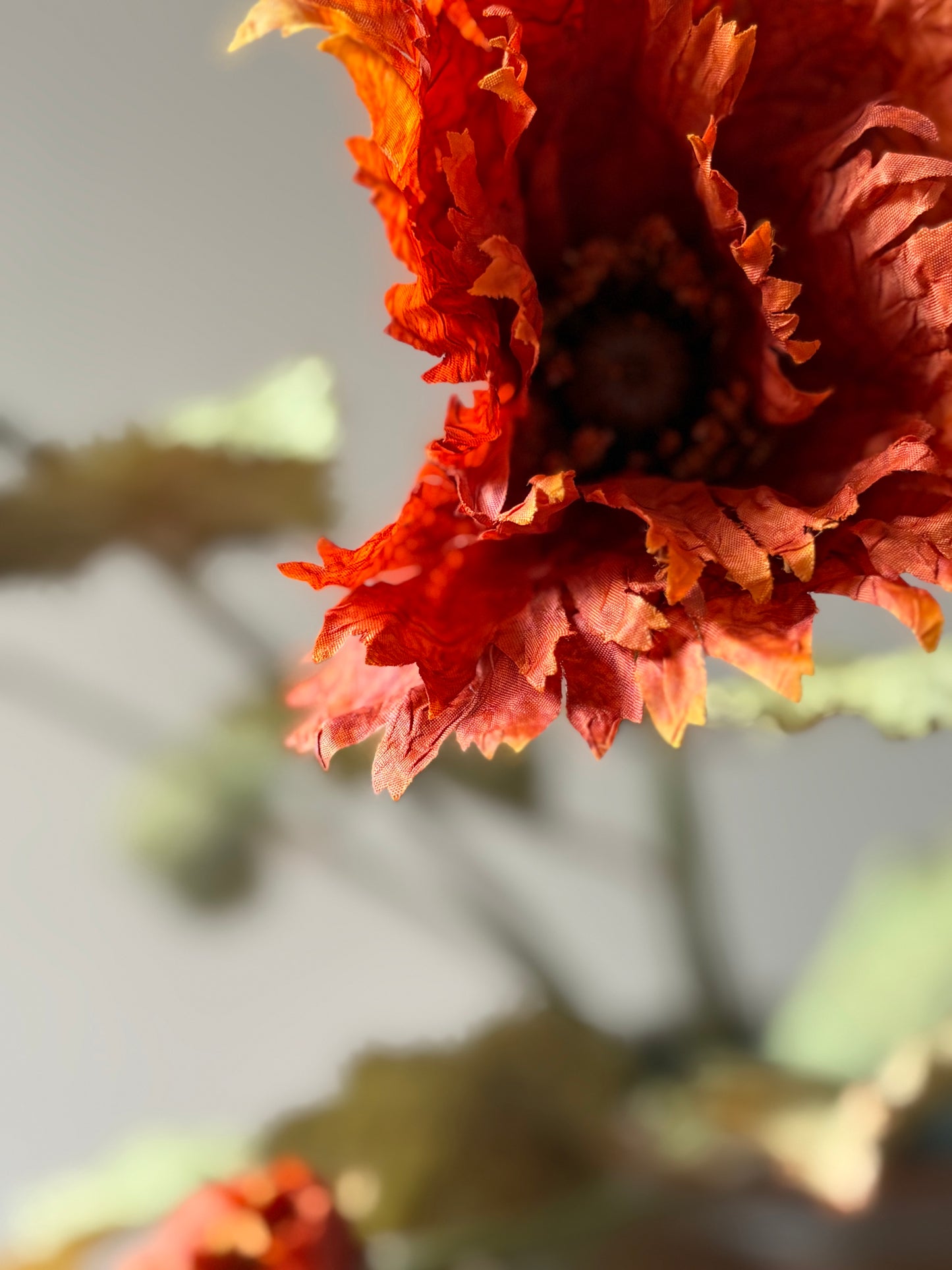 Vintage Poppy in Rust Orange