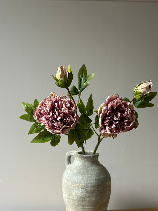Full Bloom Double Peony in Lilac