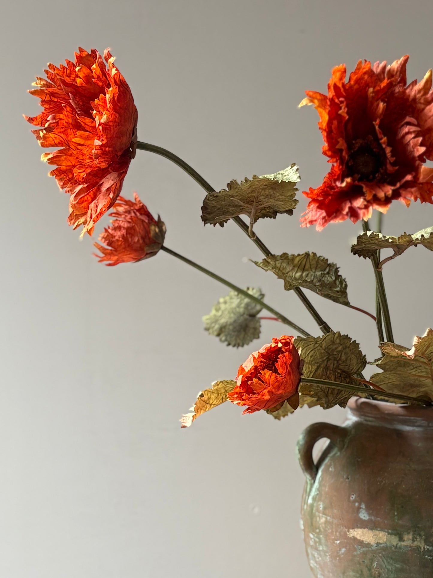 Vintage Poppy in Rust Orange