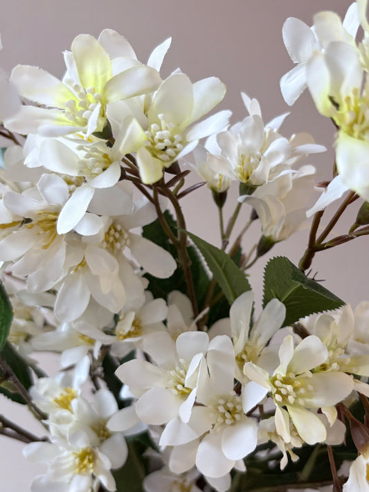 Summer Time Blossom - White