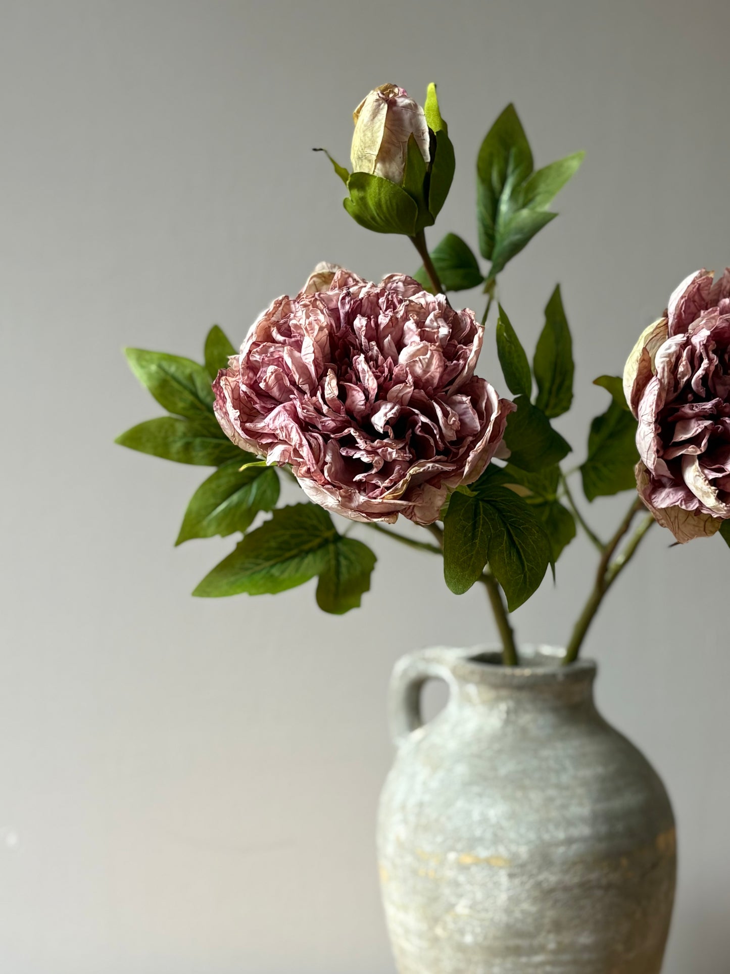 Full Bloom Double Peony in Lilac