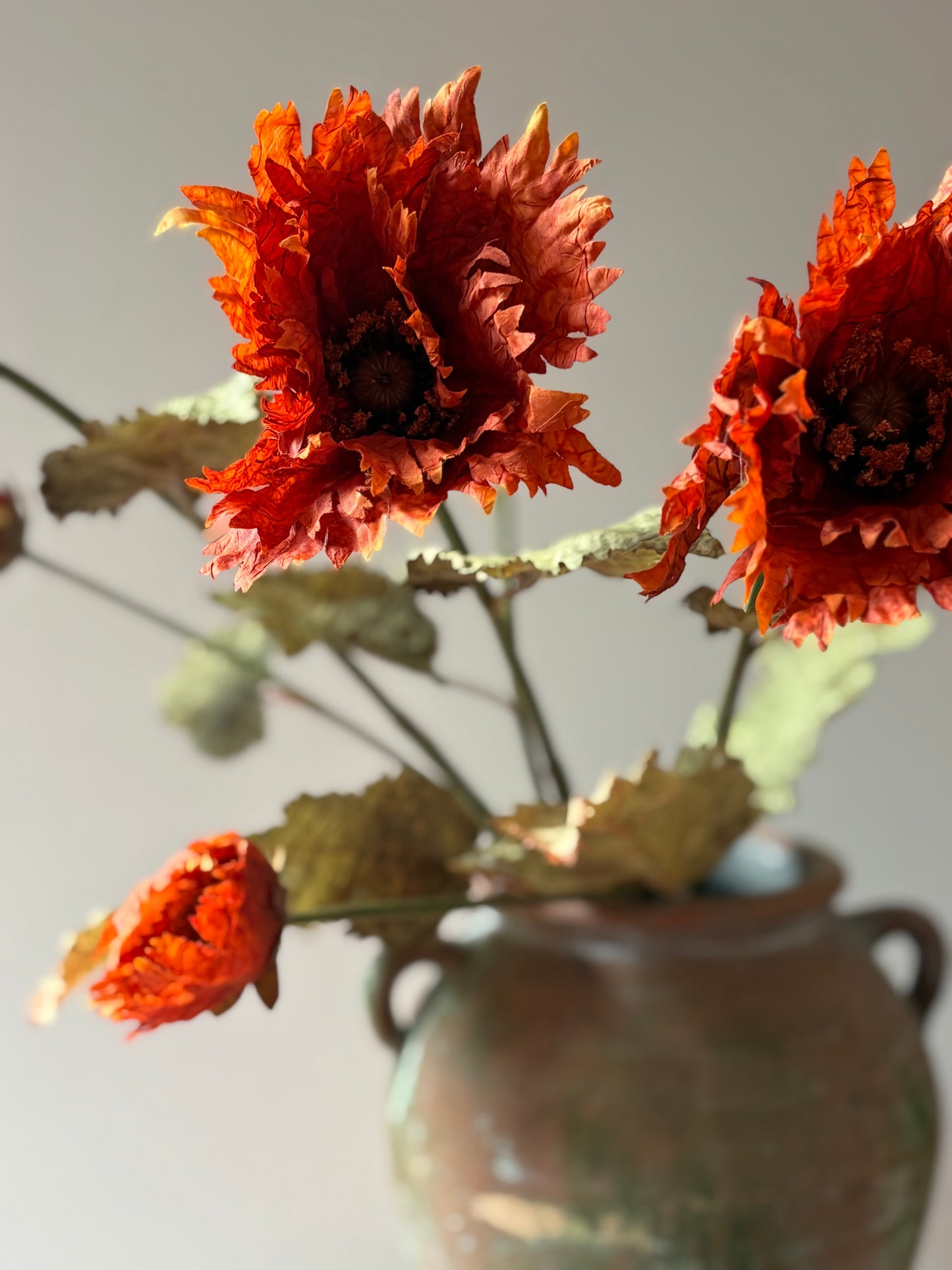 Vintage Poppy in Rust Orange