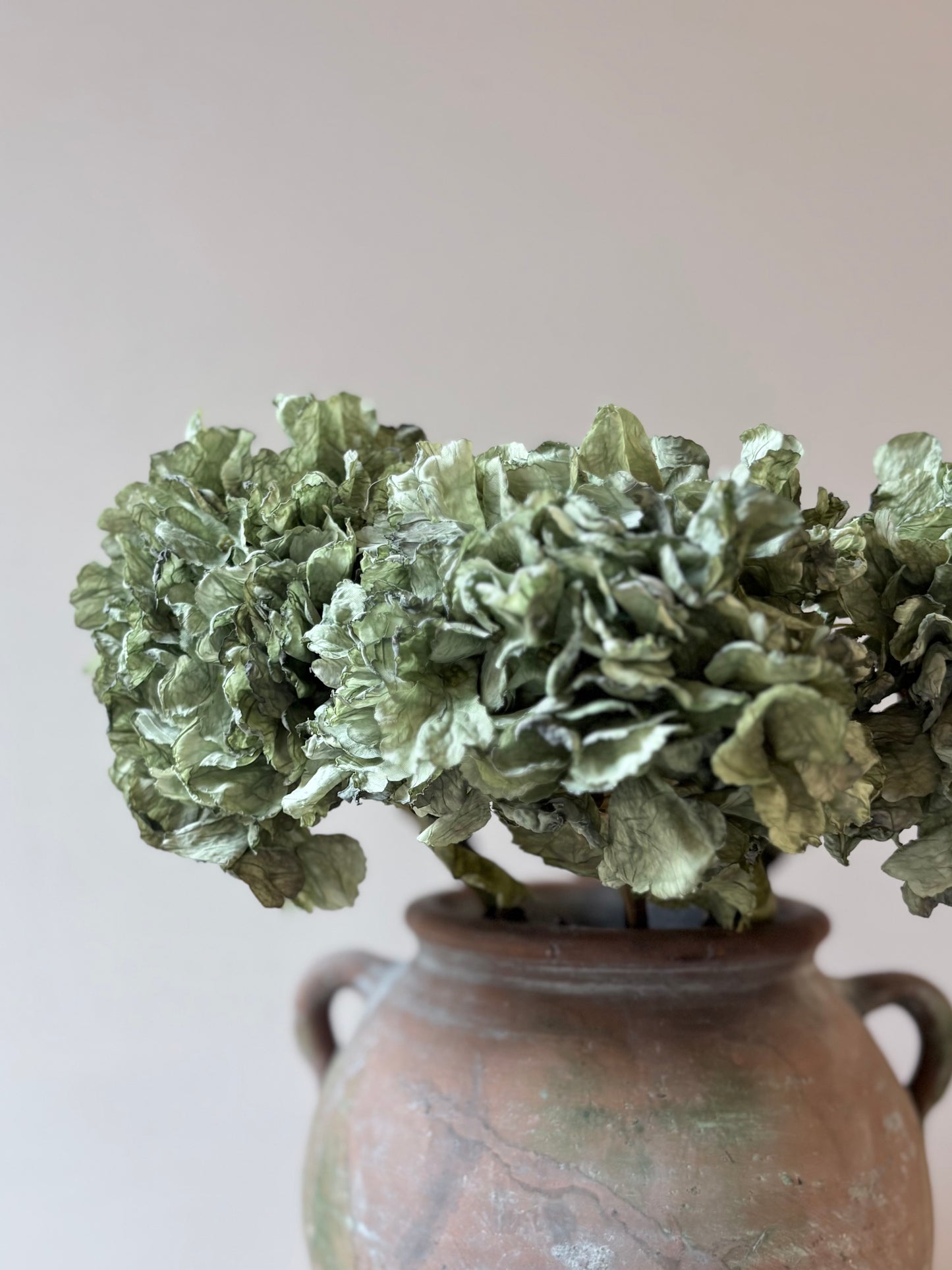 Vintage Hydrangea in Sage Green