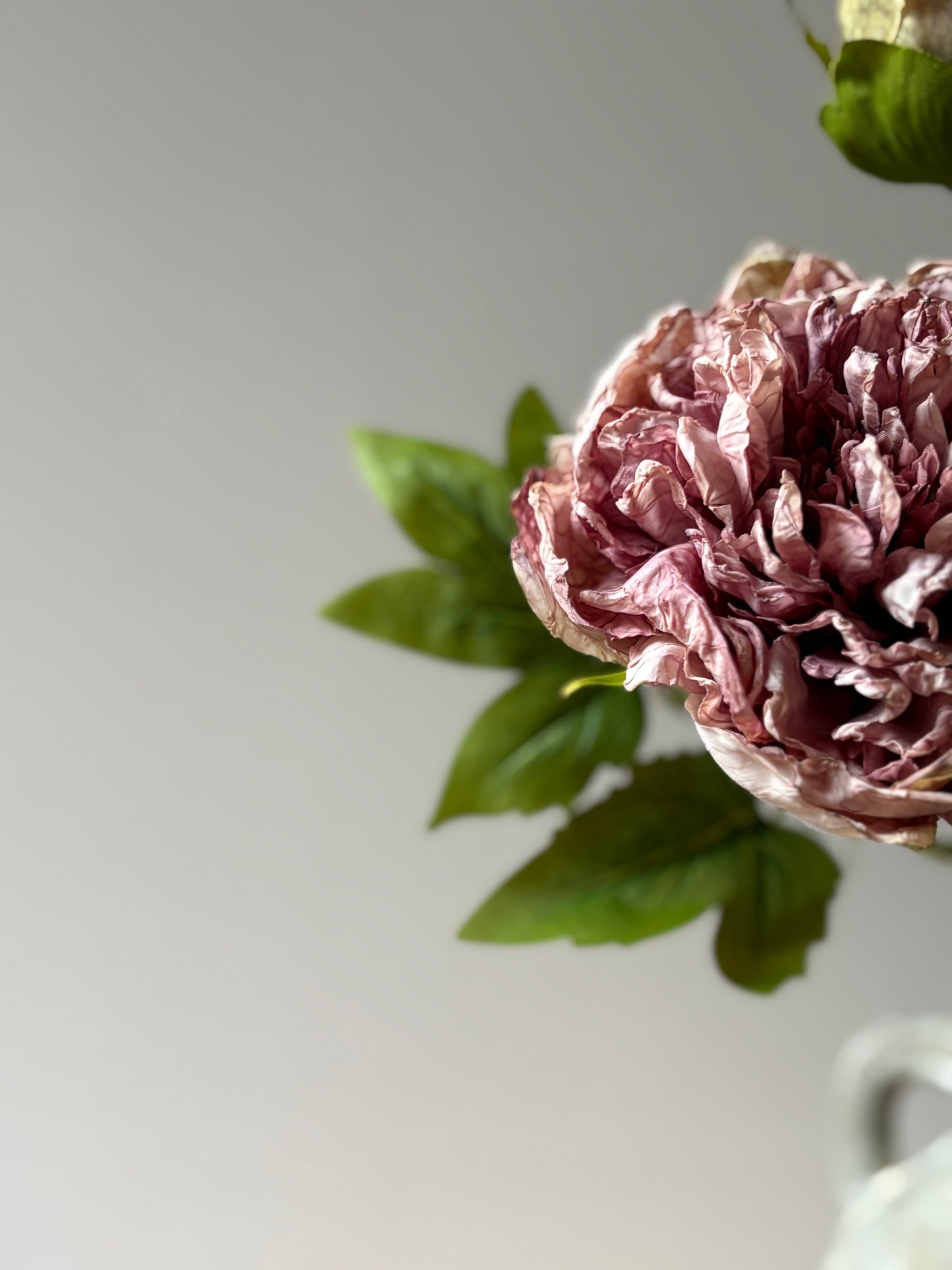 Full Bloom Double Peony in Lilac