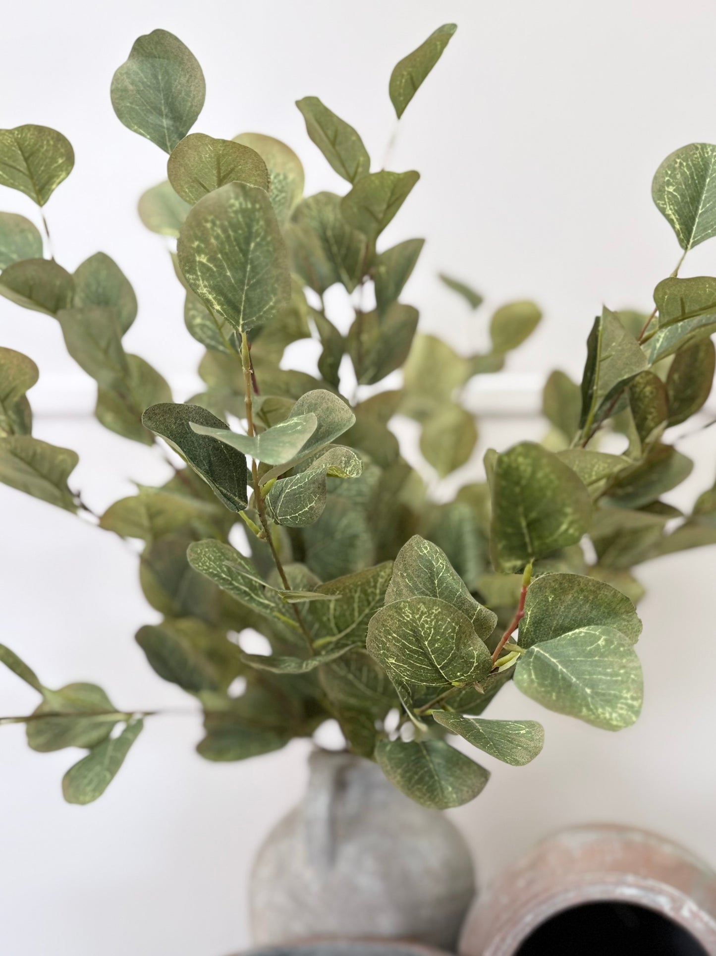 Eucalyptus Bunch (Green/Brown)