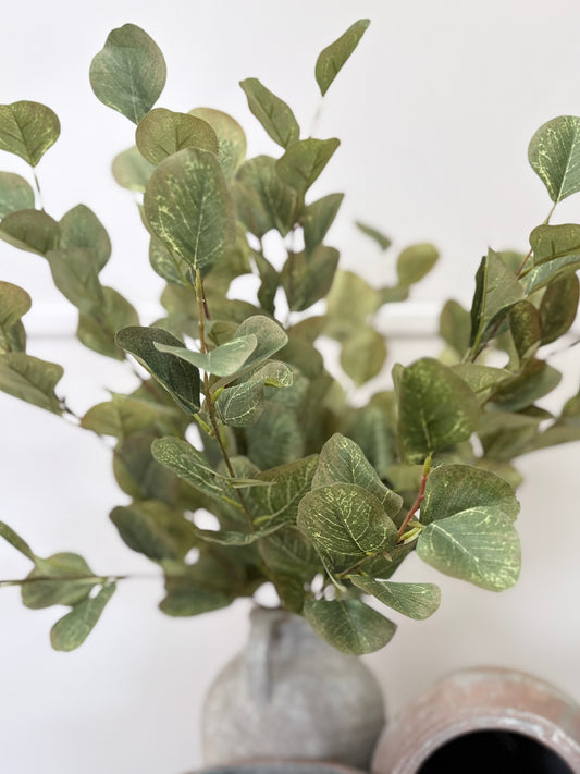 Eucalyptus Bunch (Green/Brown)