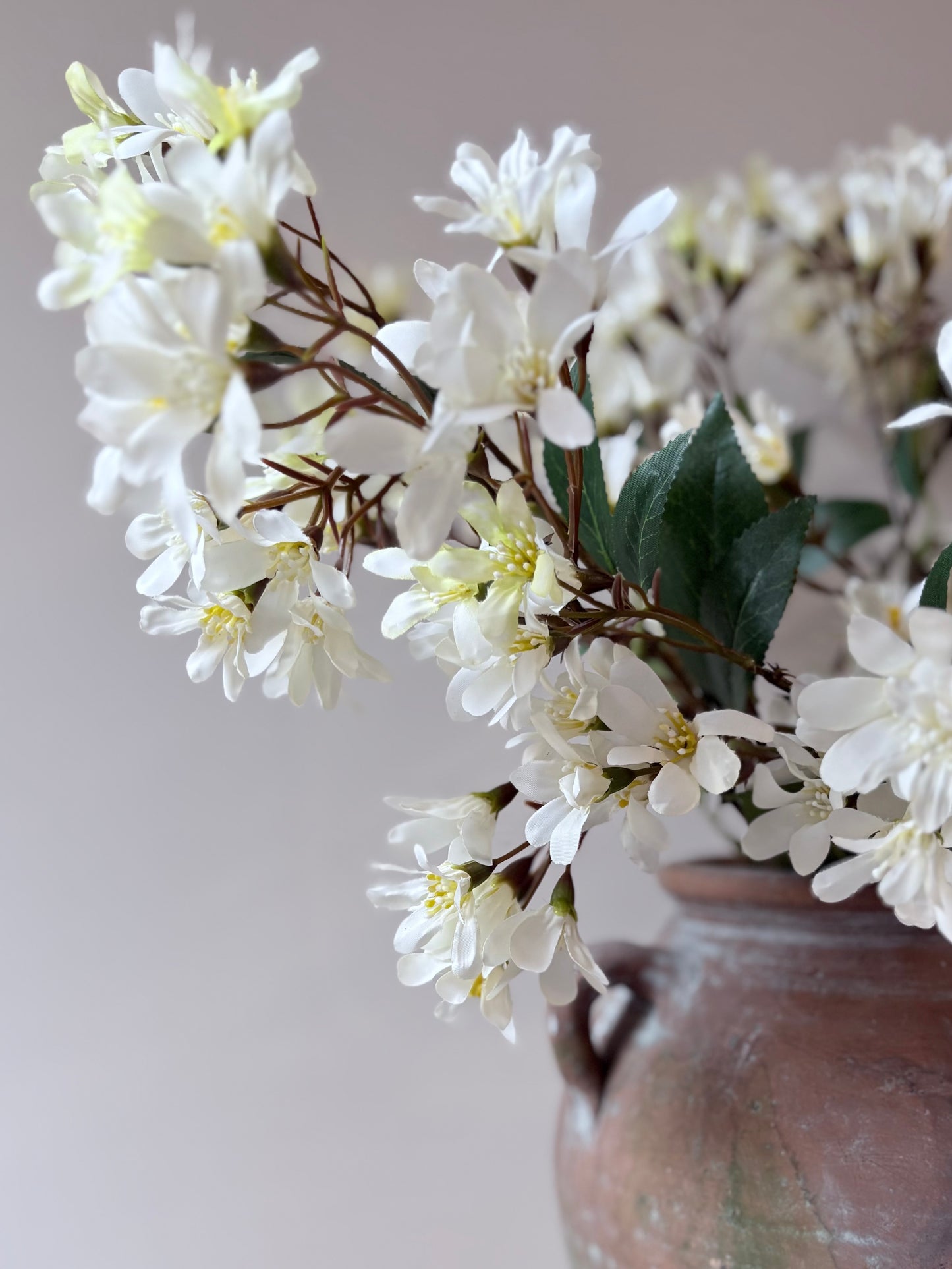 Summer Time Blossom - White