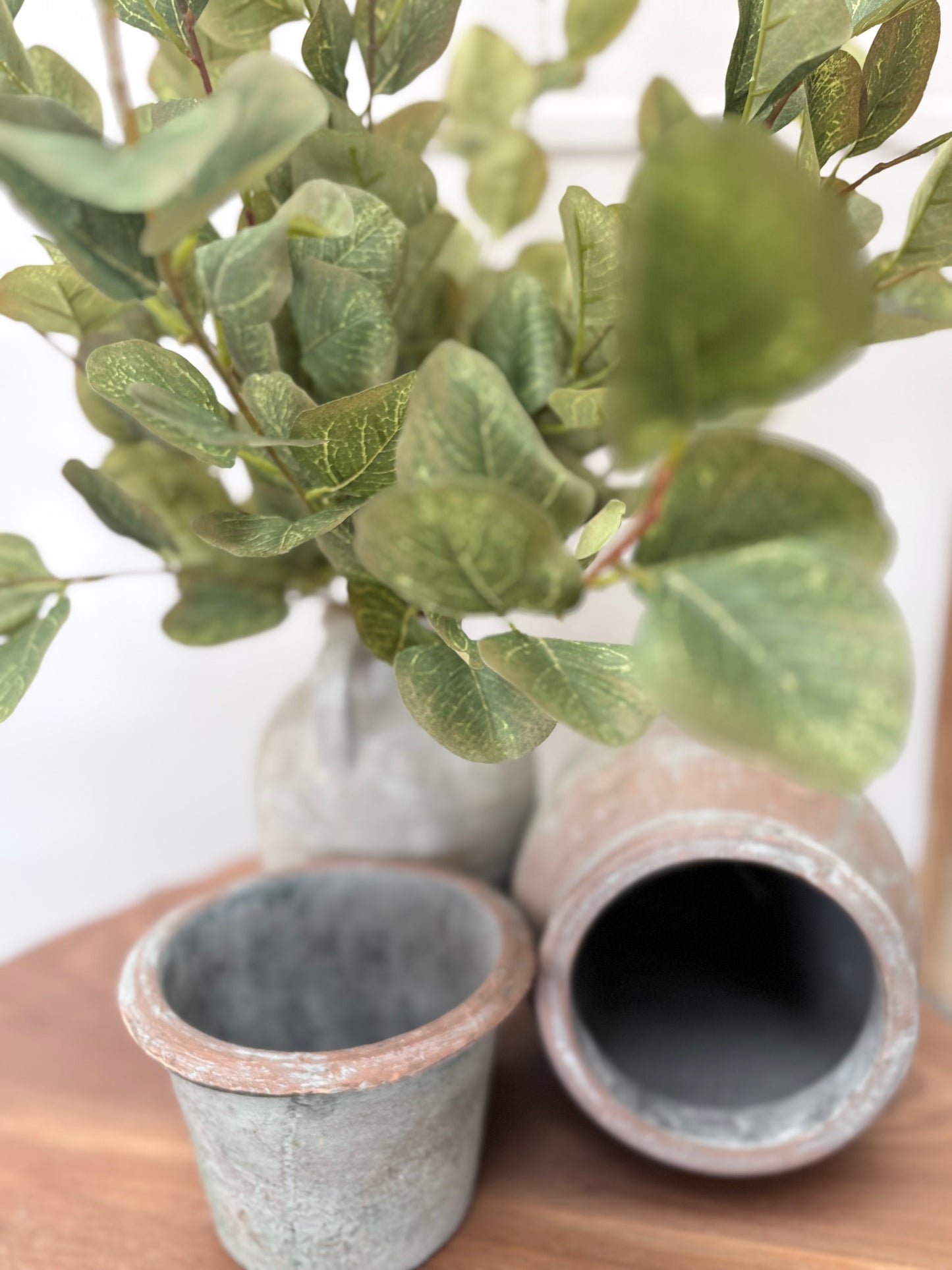 Eucalyptus Bunch (Green/Brown)