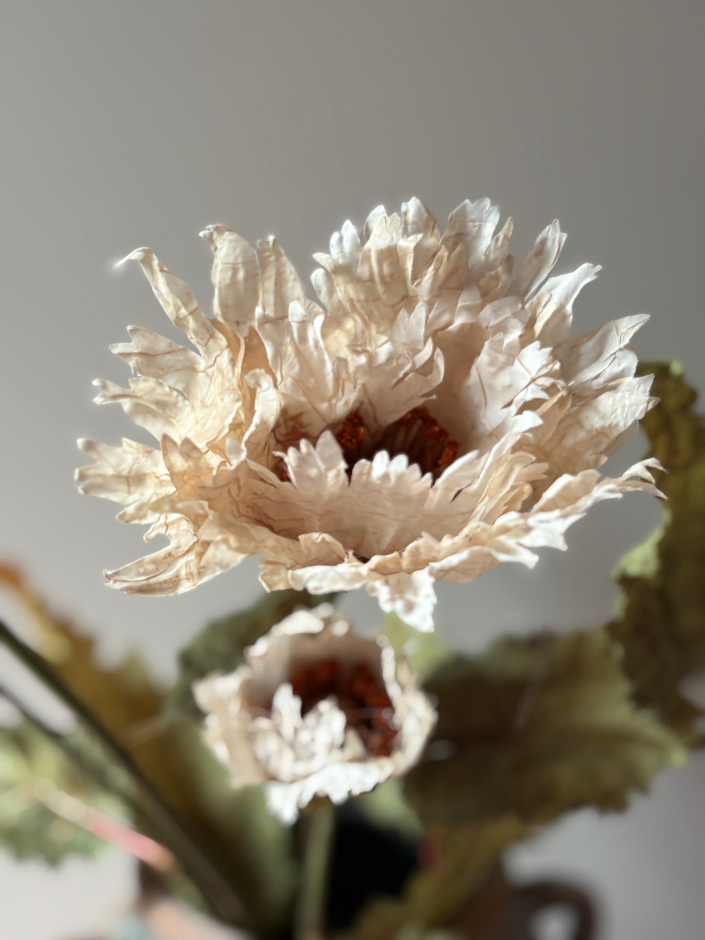 Vintage Poppy in Nude