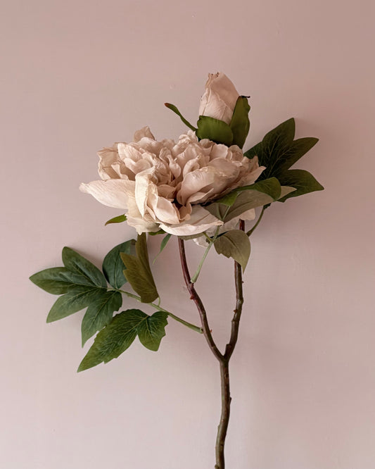 Full Bloom Ella Peony - Nude