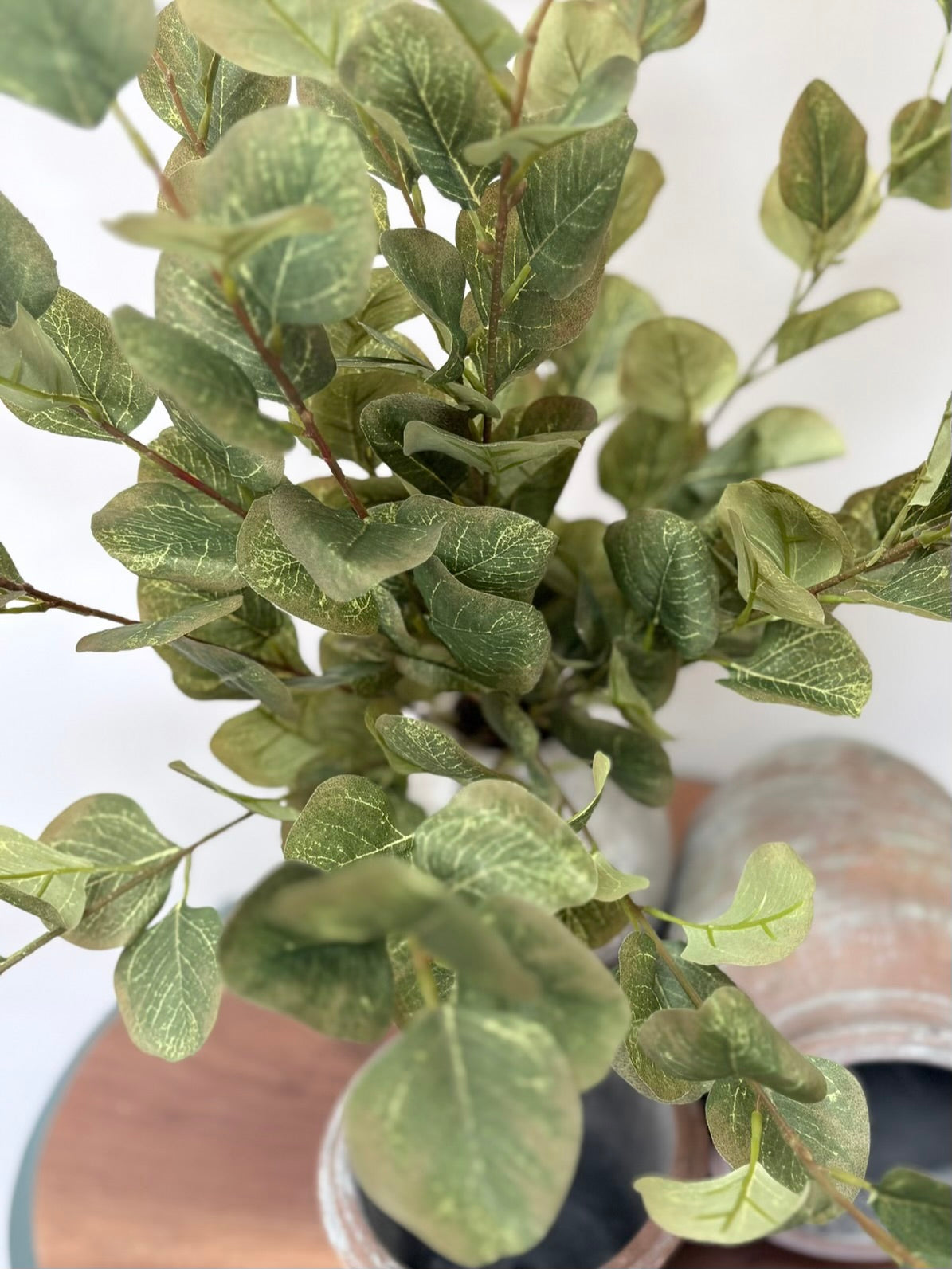 Eucalyptus Bunch (Green/Brown)