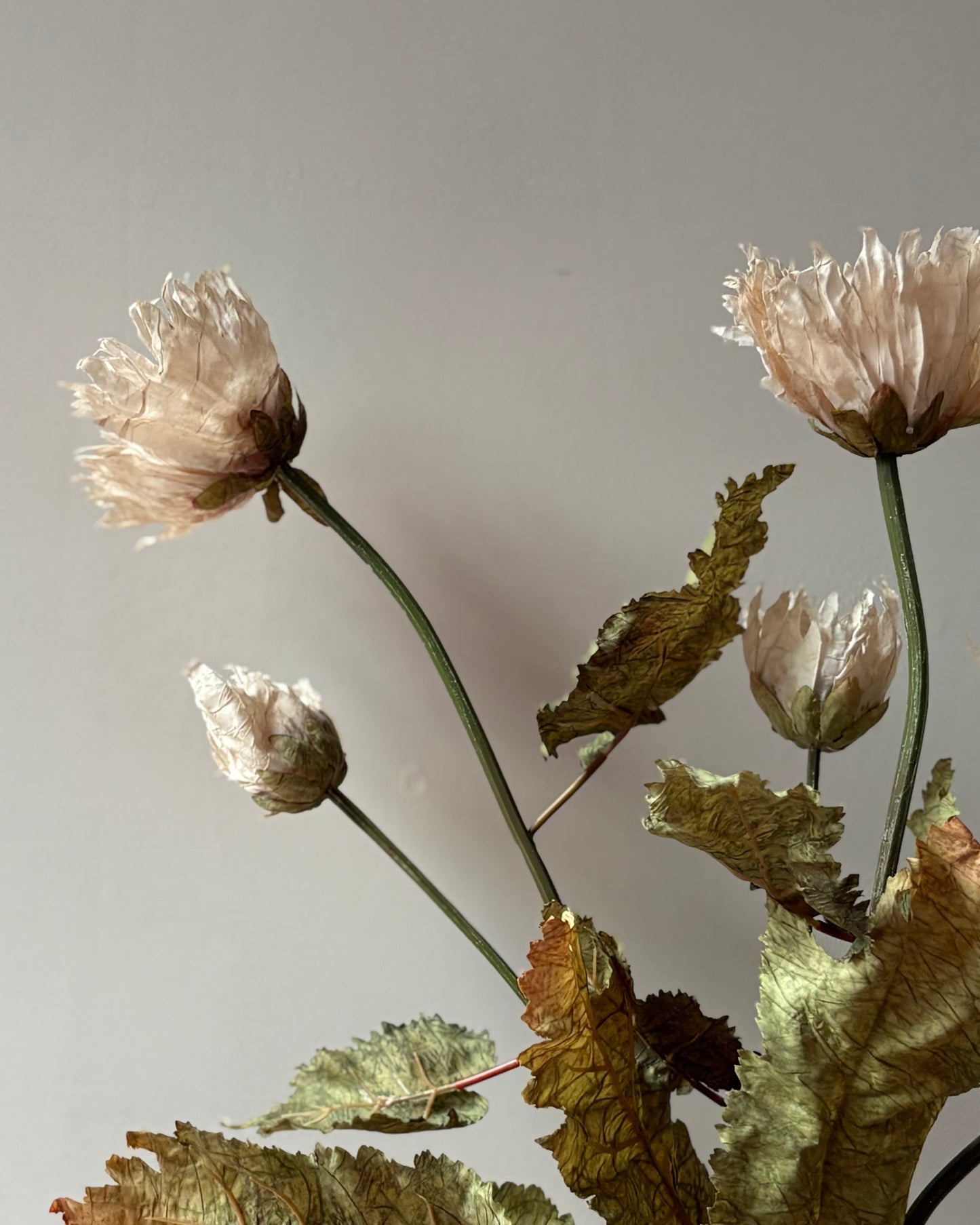 Vintage Poppy in Nude
