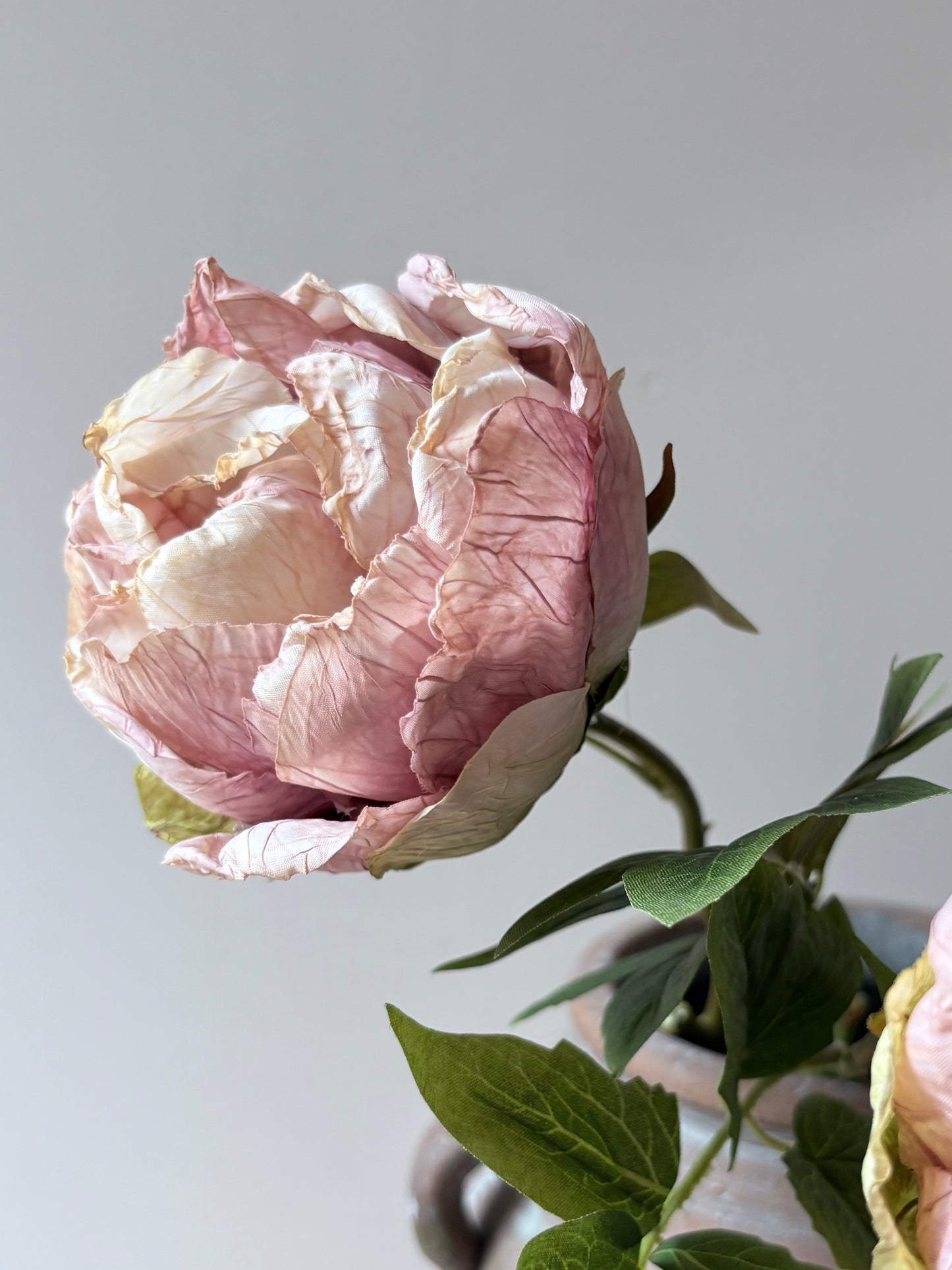 Single Closed Cup Peony - Dusky Pink