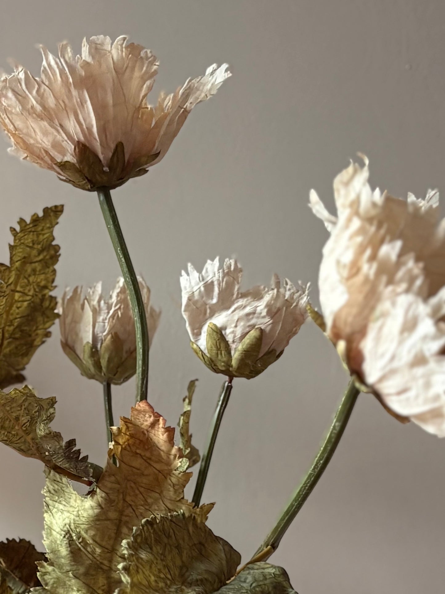 Vintage Poppy in Nude