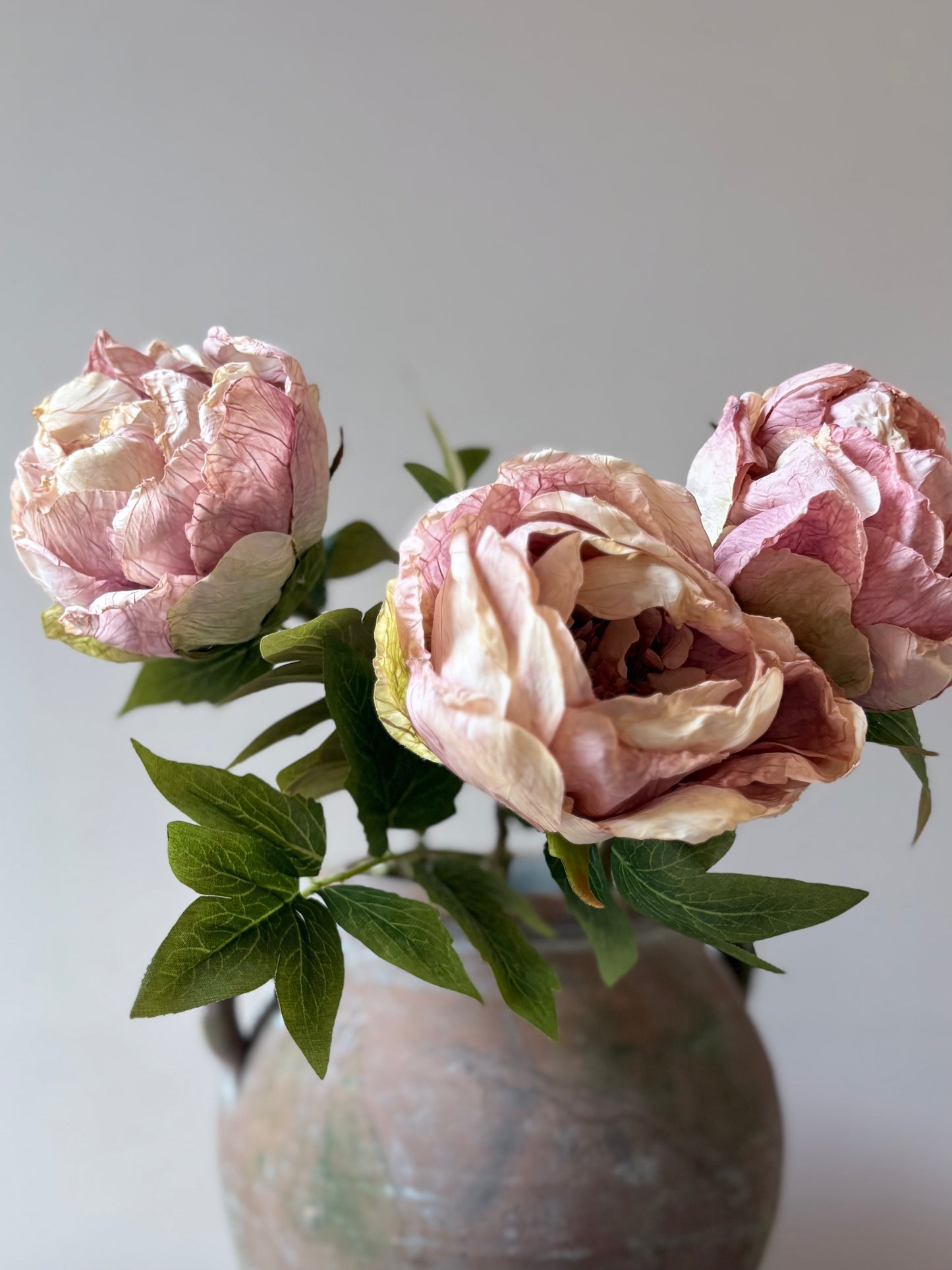 Single Closed Cup Peony - Dusky Pink