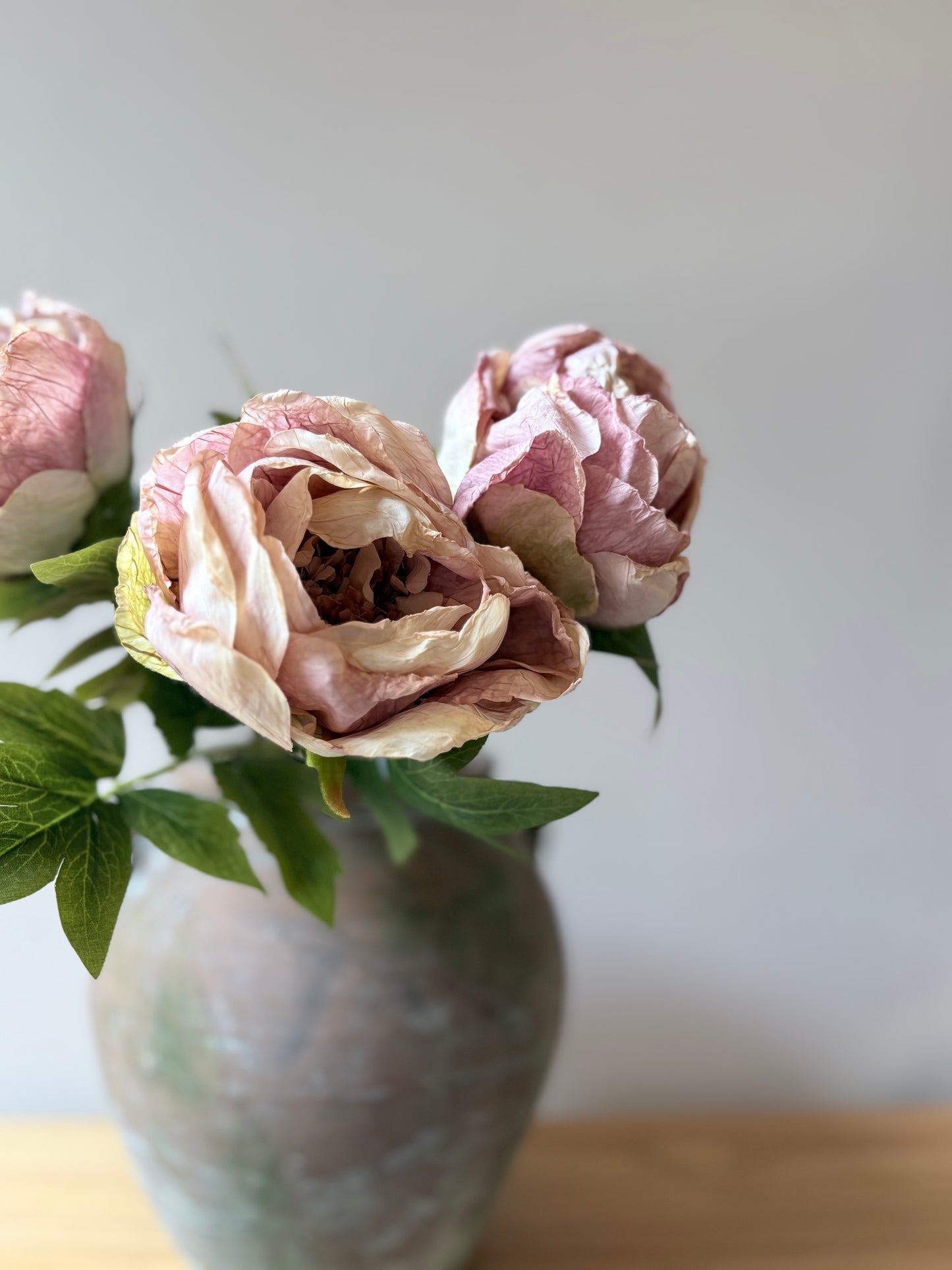 Single Closed Cup Peony - Dusky Pink