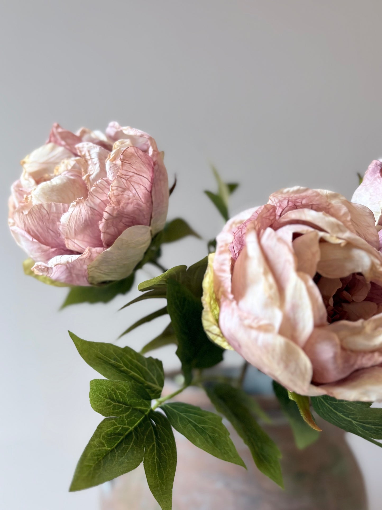 Single Closed Cup Peony - Dusky Pink