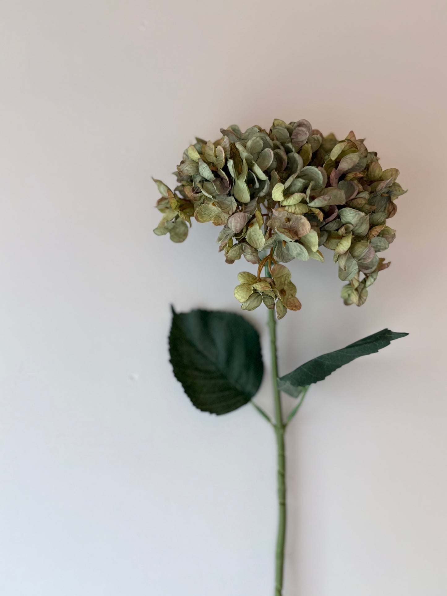 Cassandra Hydrangea Sage Green