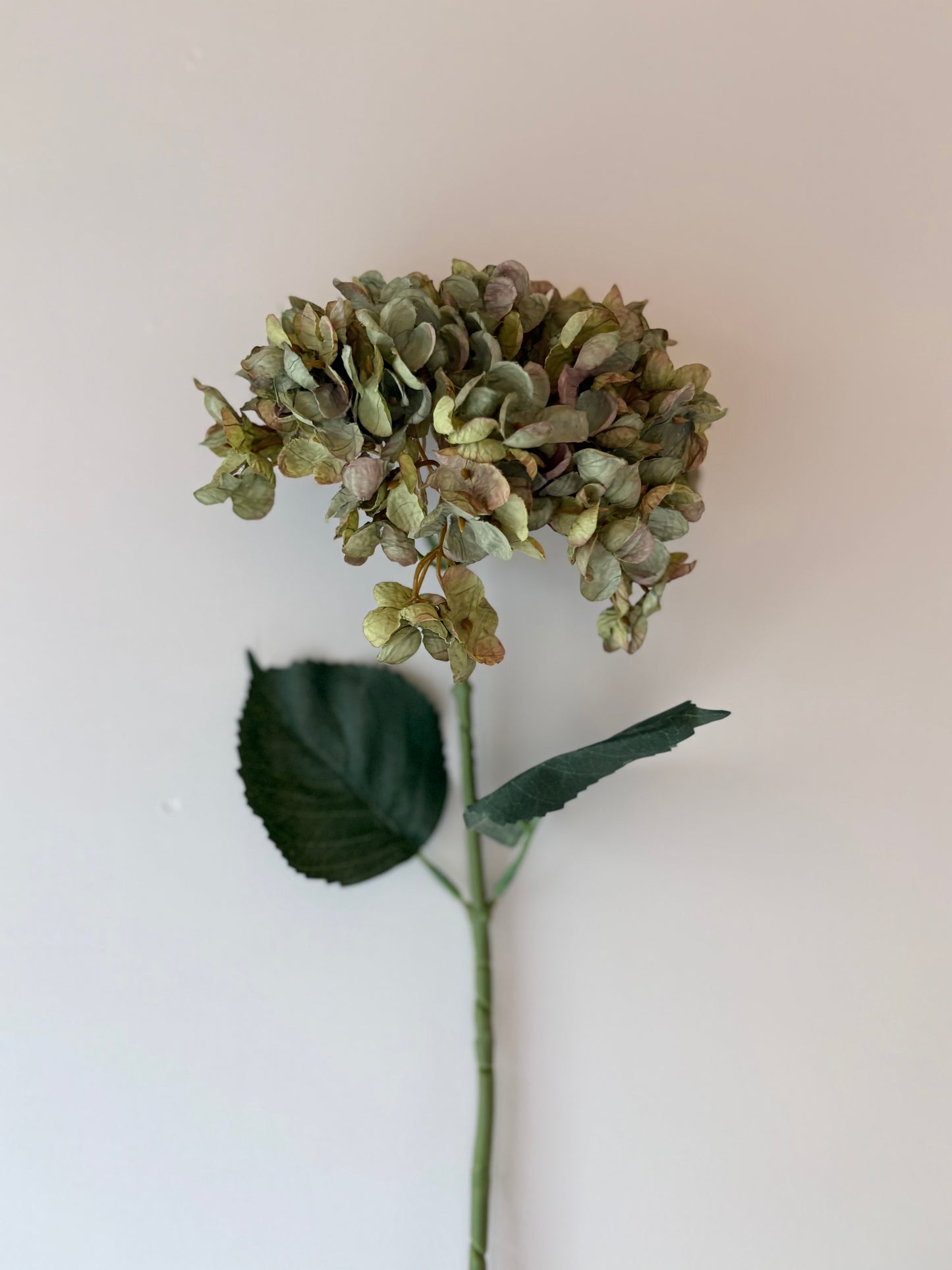 Cassandra Hydrangea Sage Green