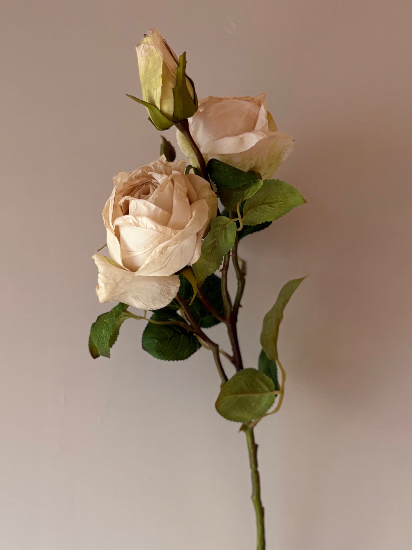 Vintage Rose Spray in Nude