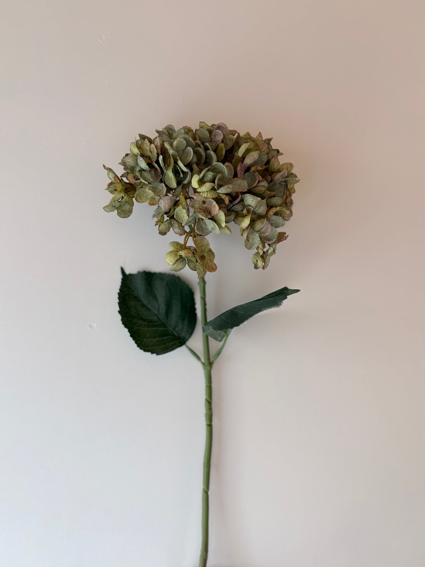 Cassandra Hydrangea Sage Green