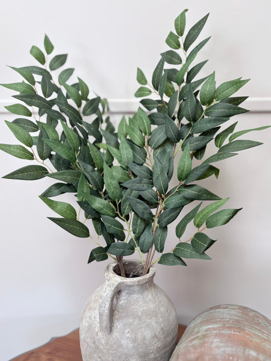 Green Ruscus Stem