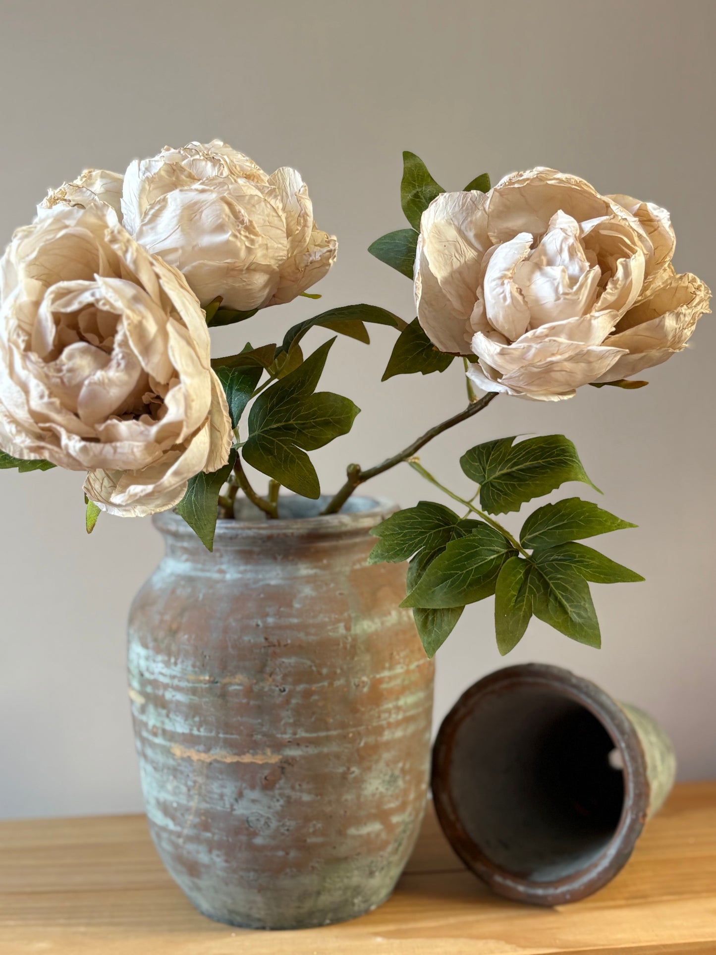 Single Closed Cup Peony in Nude