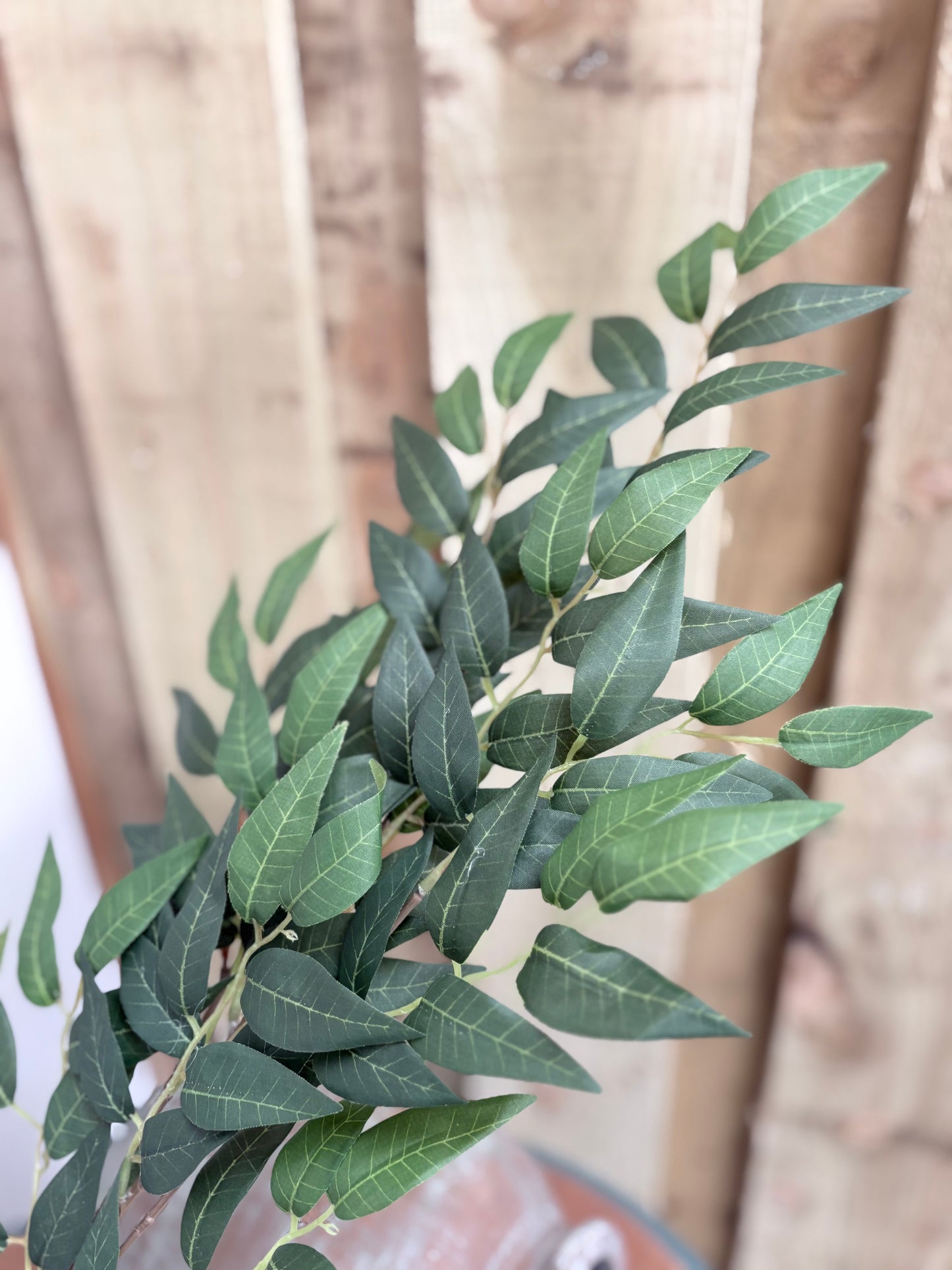 Green Ruscus Stem