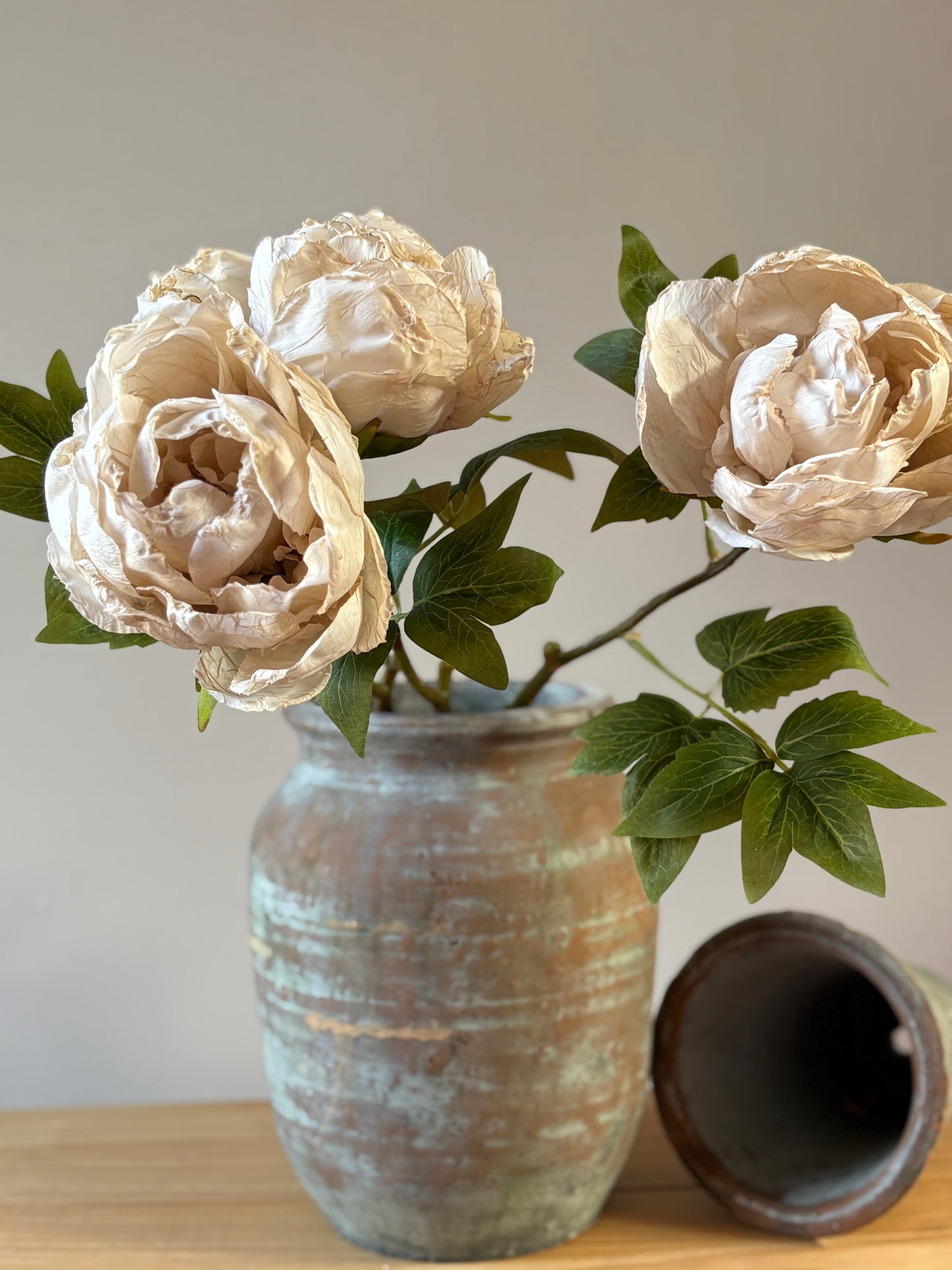 Single Closed Cup Peony in Nude