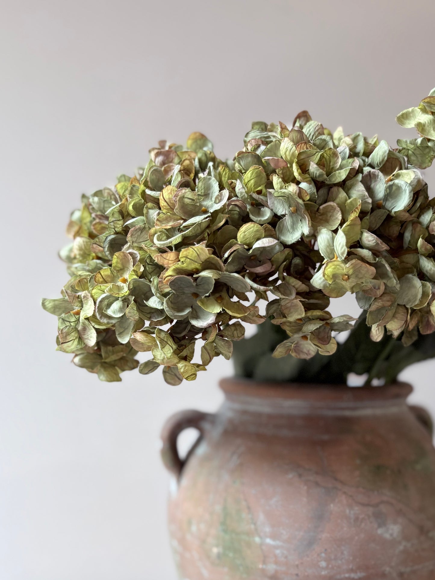 Cassandra Hydrangea Sage Green
