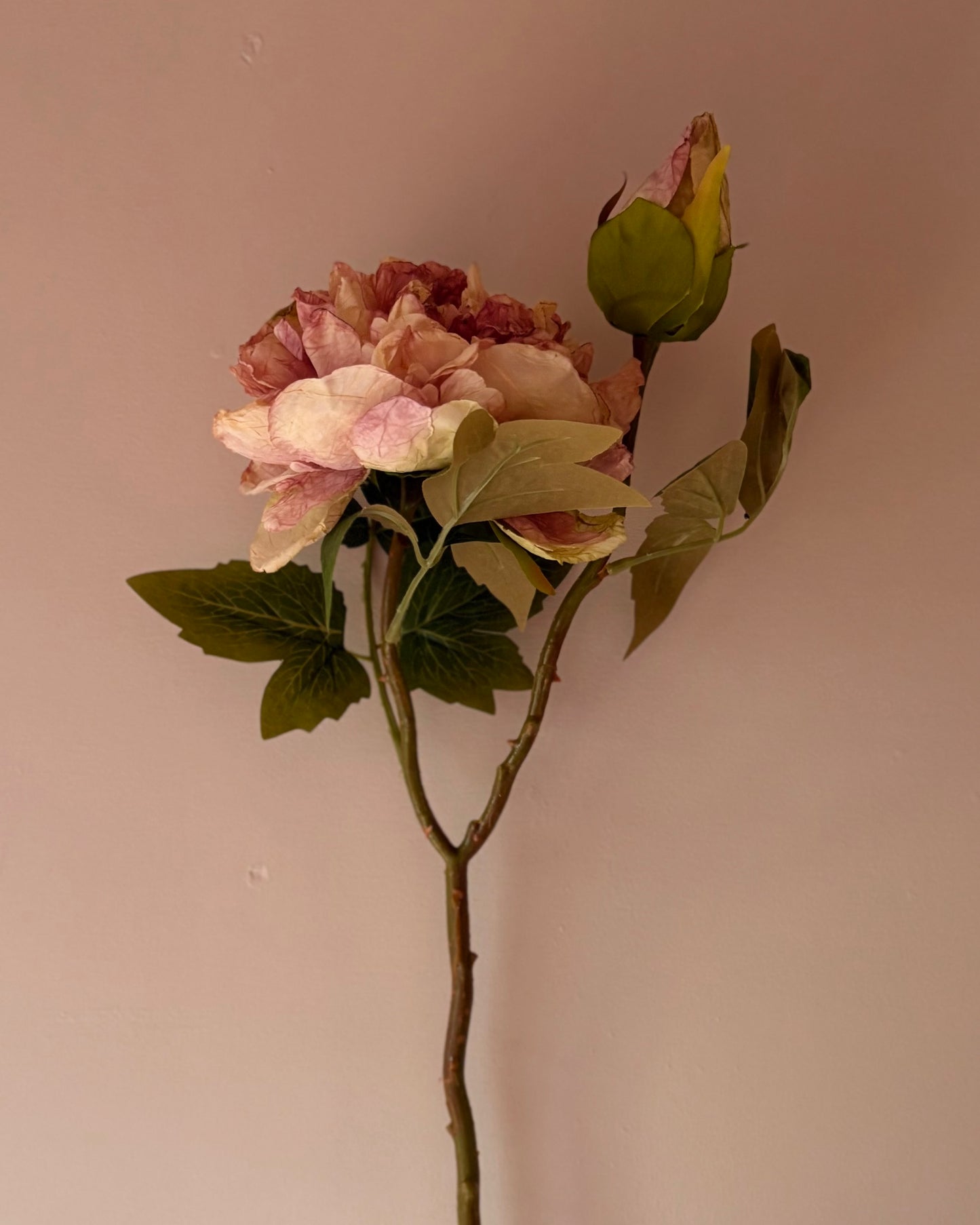 Full Bloom Peony - Dusky Pink