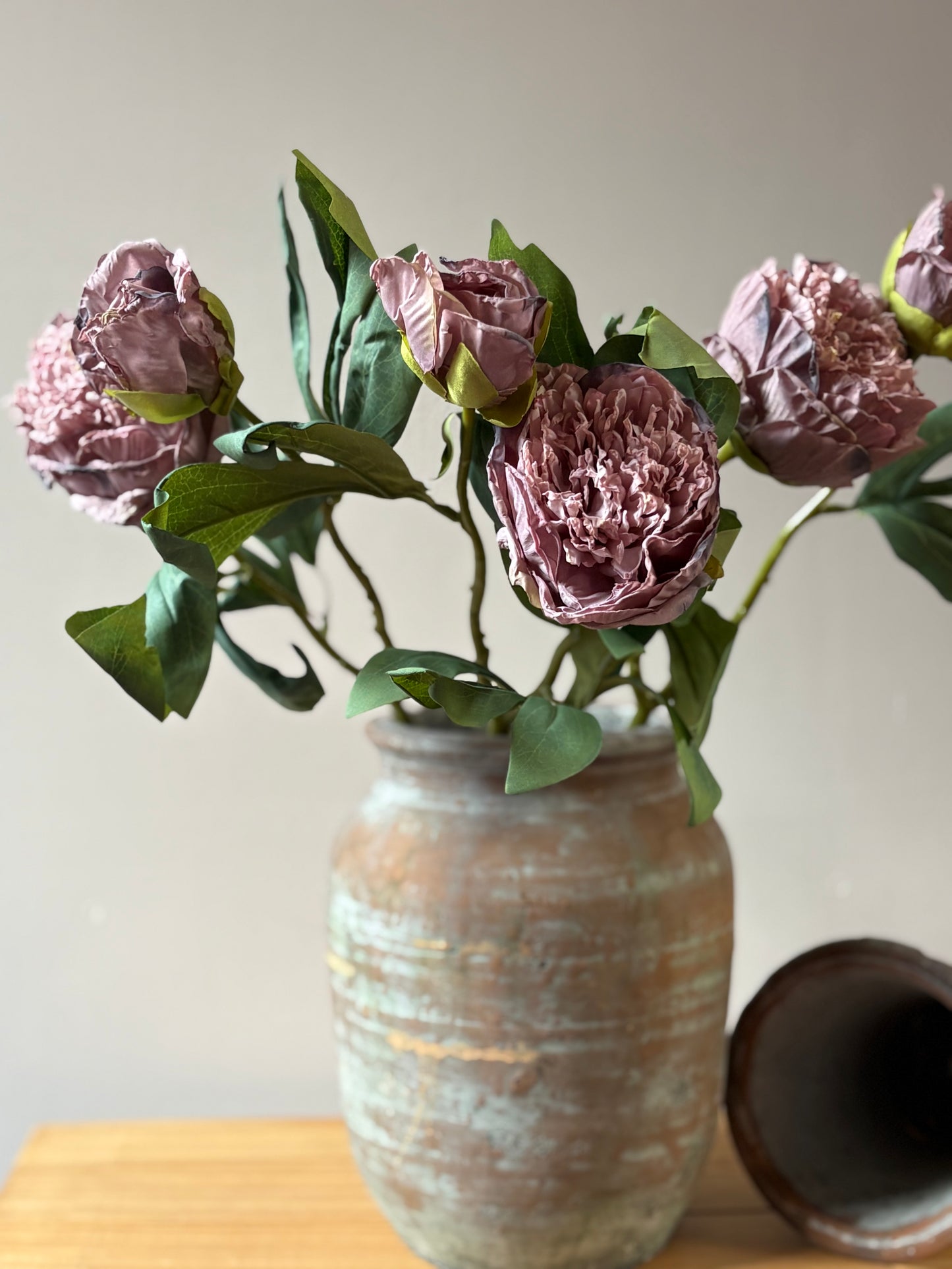 Double Stem Peony - Lilac