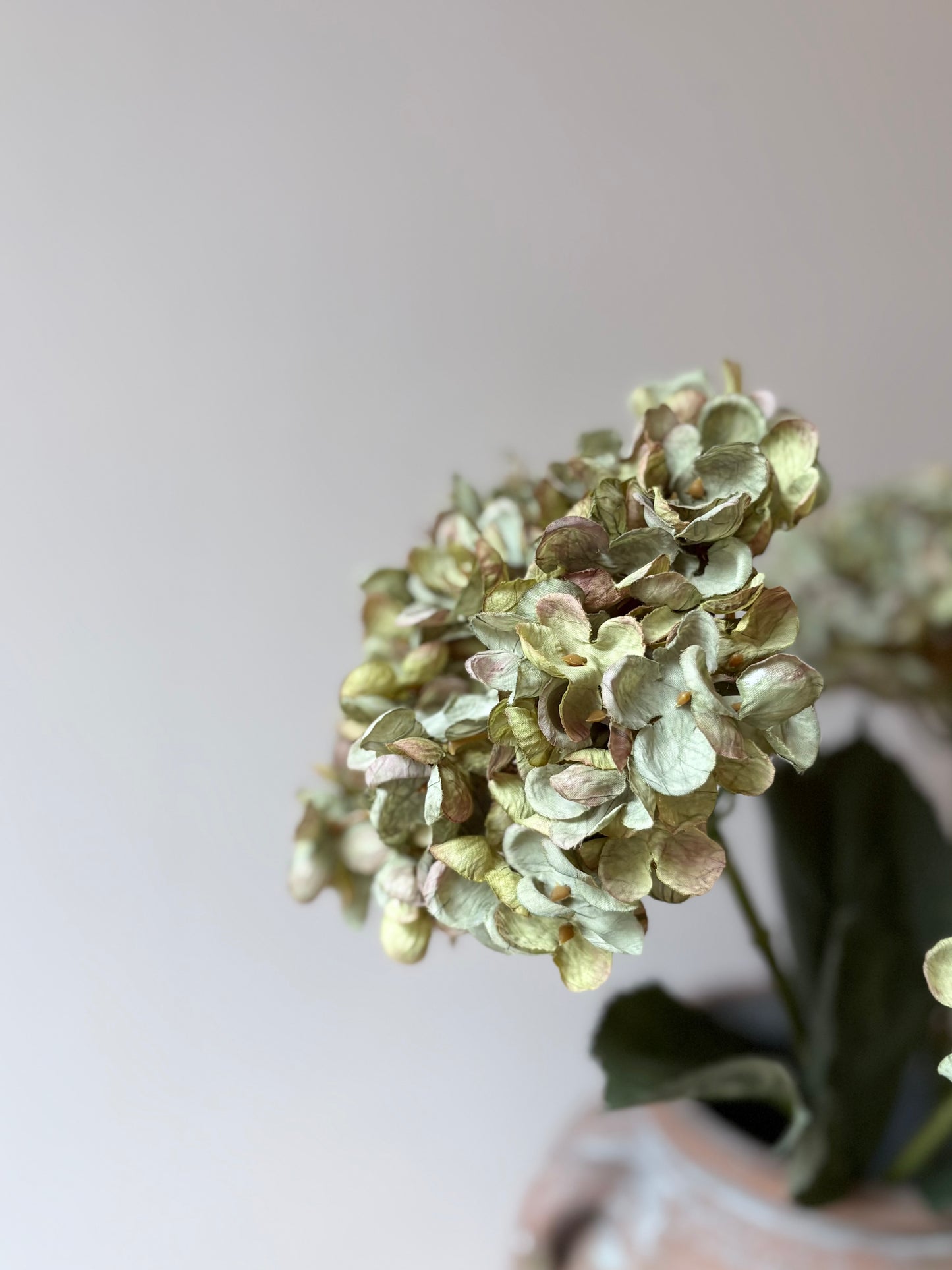 Cassandra Hydrangea Sage Green