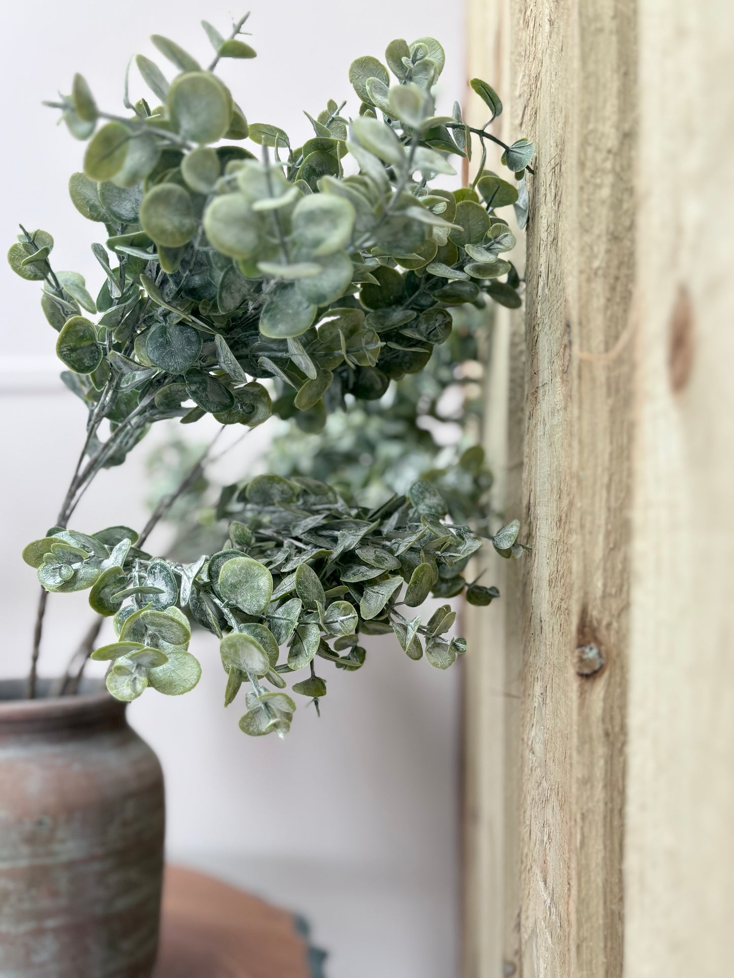 Gum Drop Eucalyptus Stem
