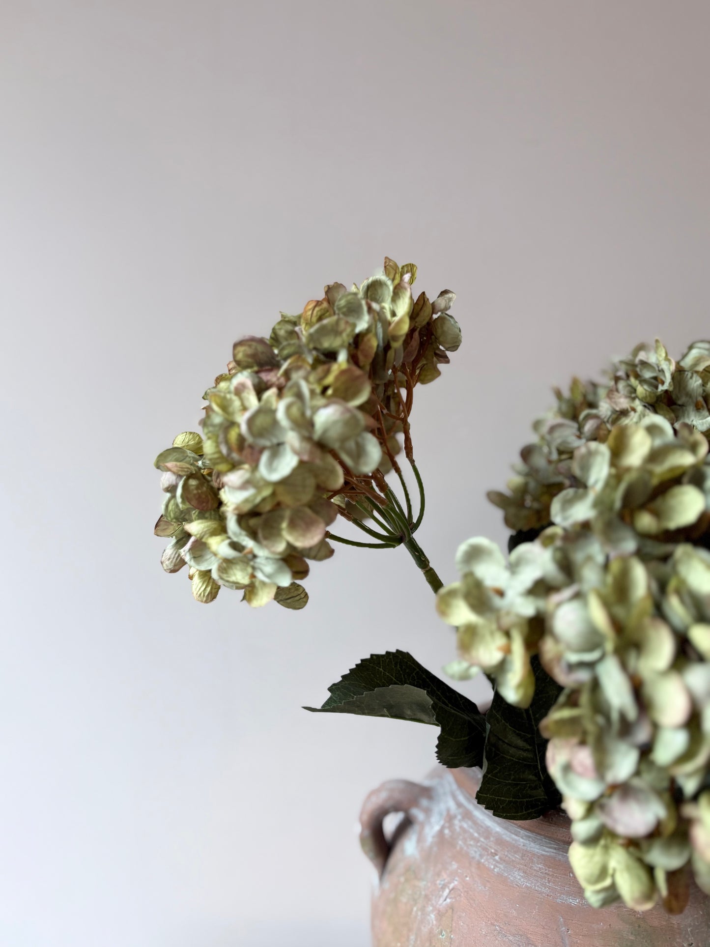 Cassandra Hydrangea Sage Green